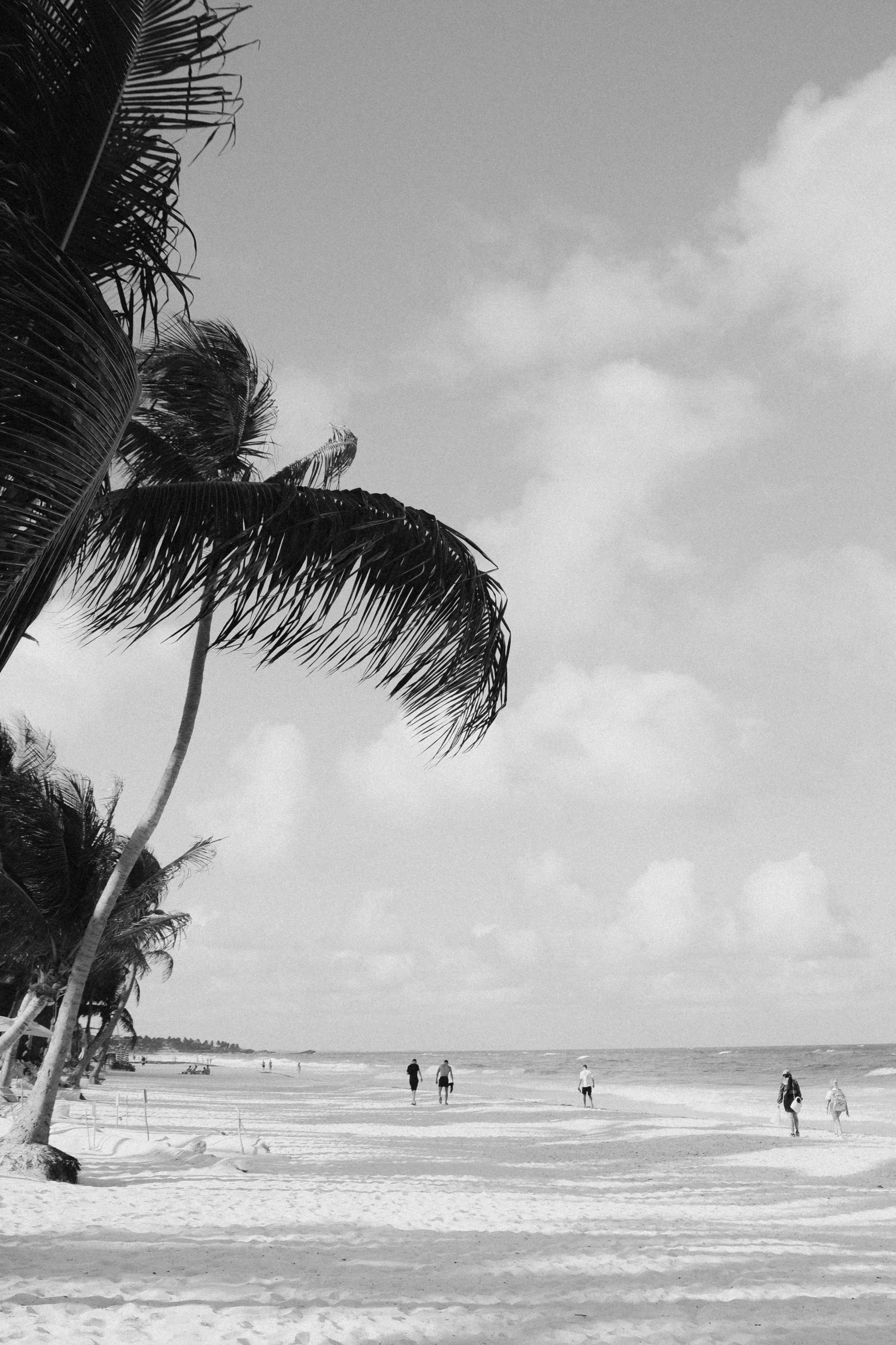 Black and white photo of a beach scene with palm trees on the left, people walking along the shoreline, and a cloudy sky.