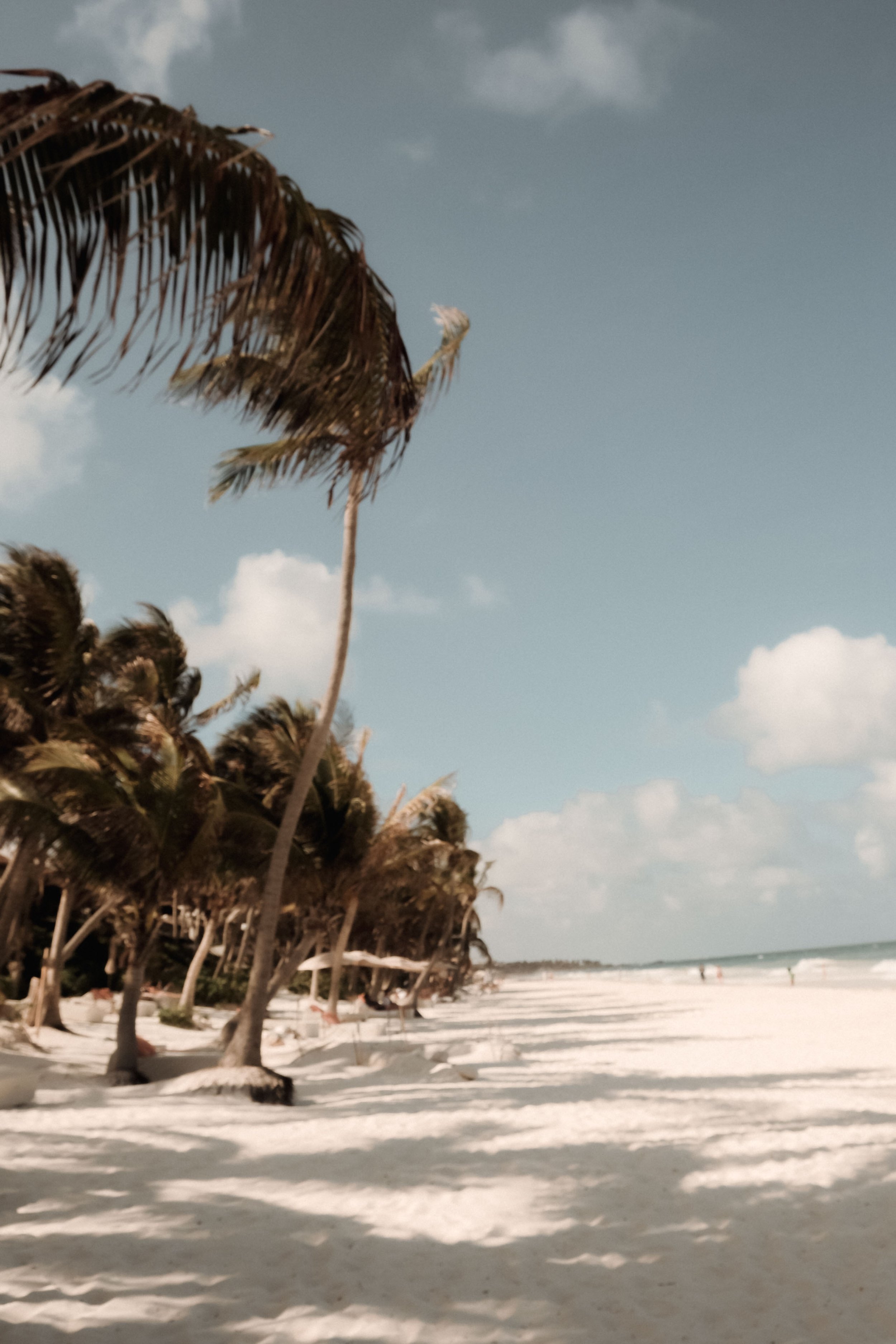 Tulum - An Honest And Mindful Travel Guide
