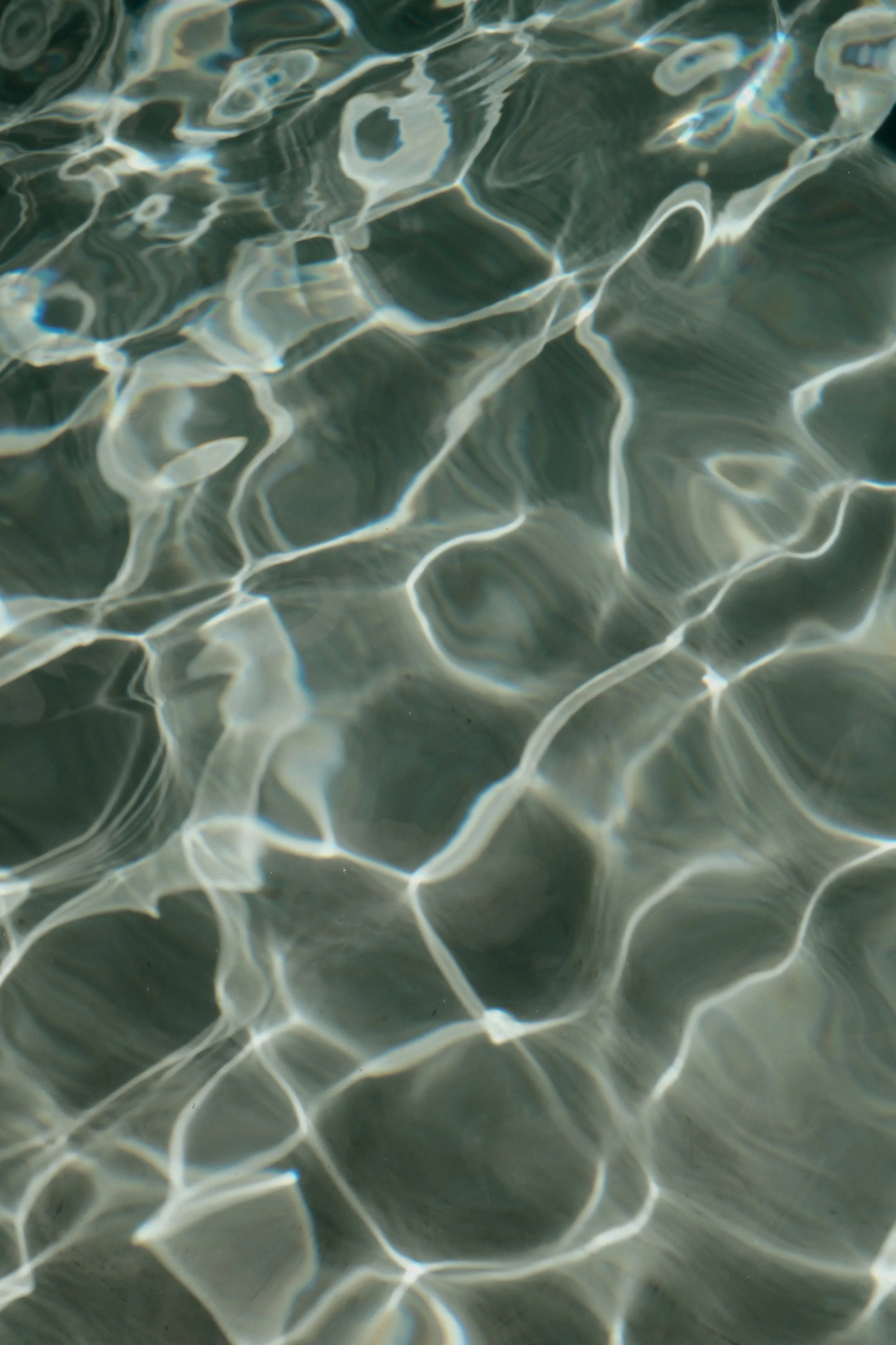 DSCF9121 2.jpg