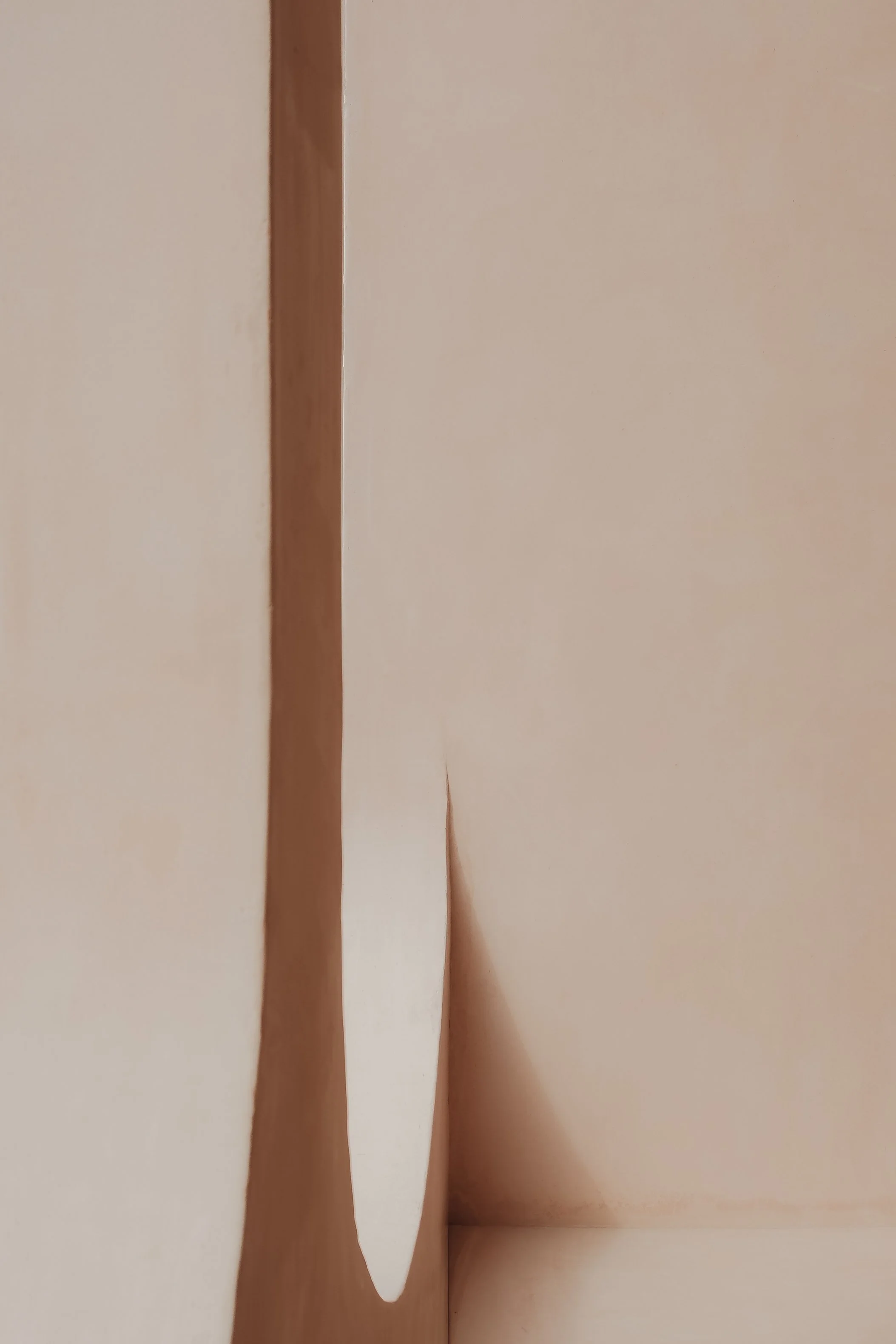 DSCF0224 2.jpg