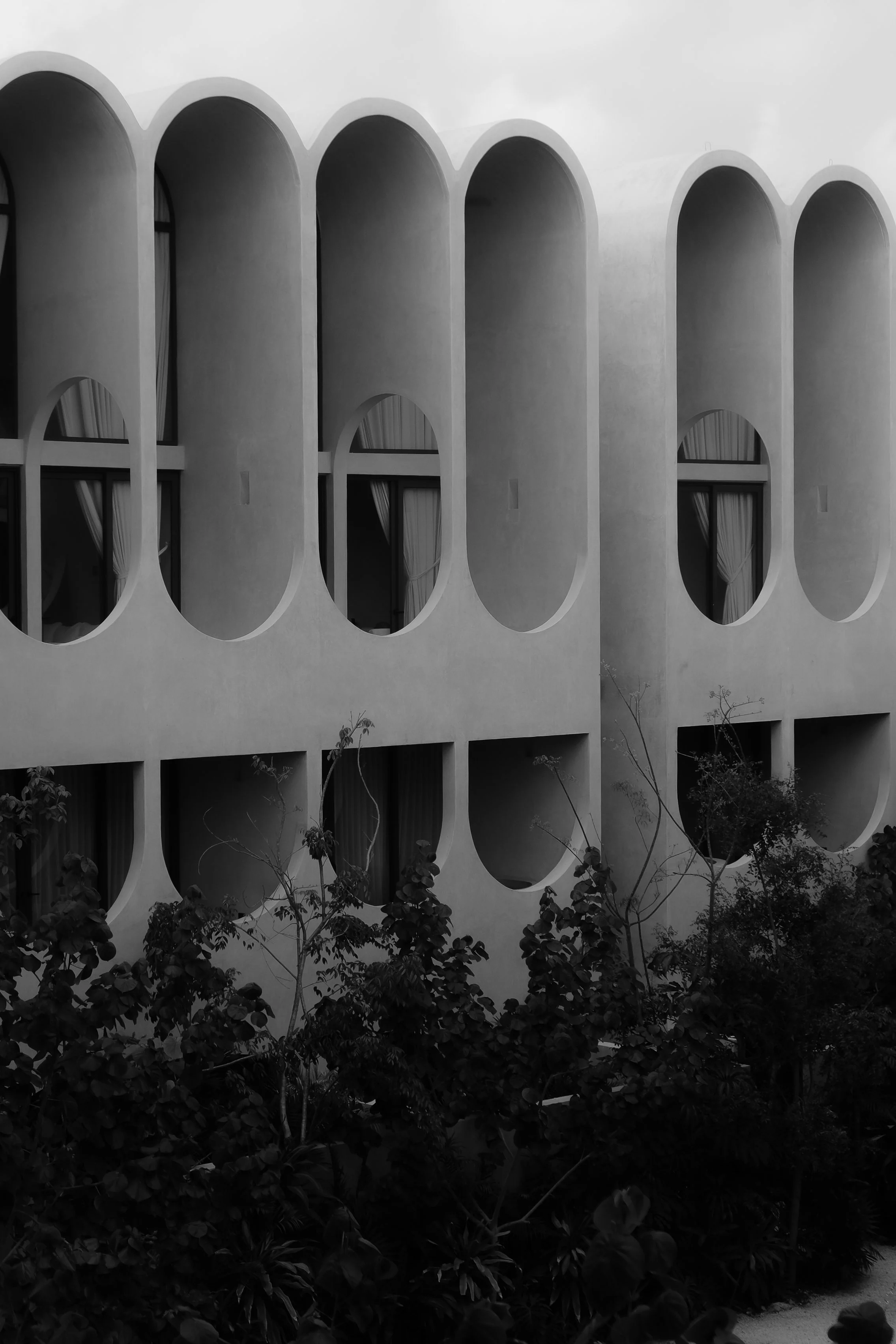 DSCF8973 2.jpg
