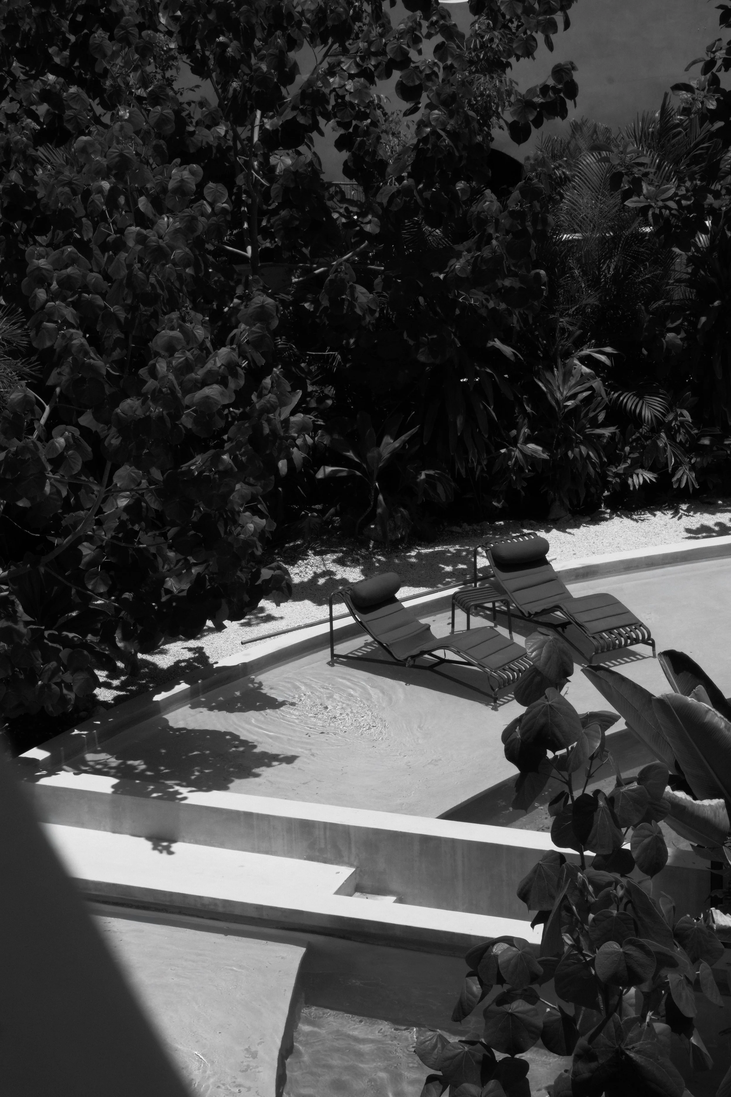 DSCF0561 4.jpg
