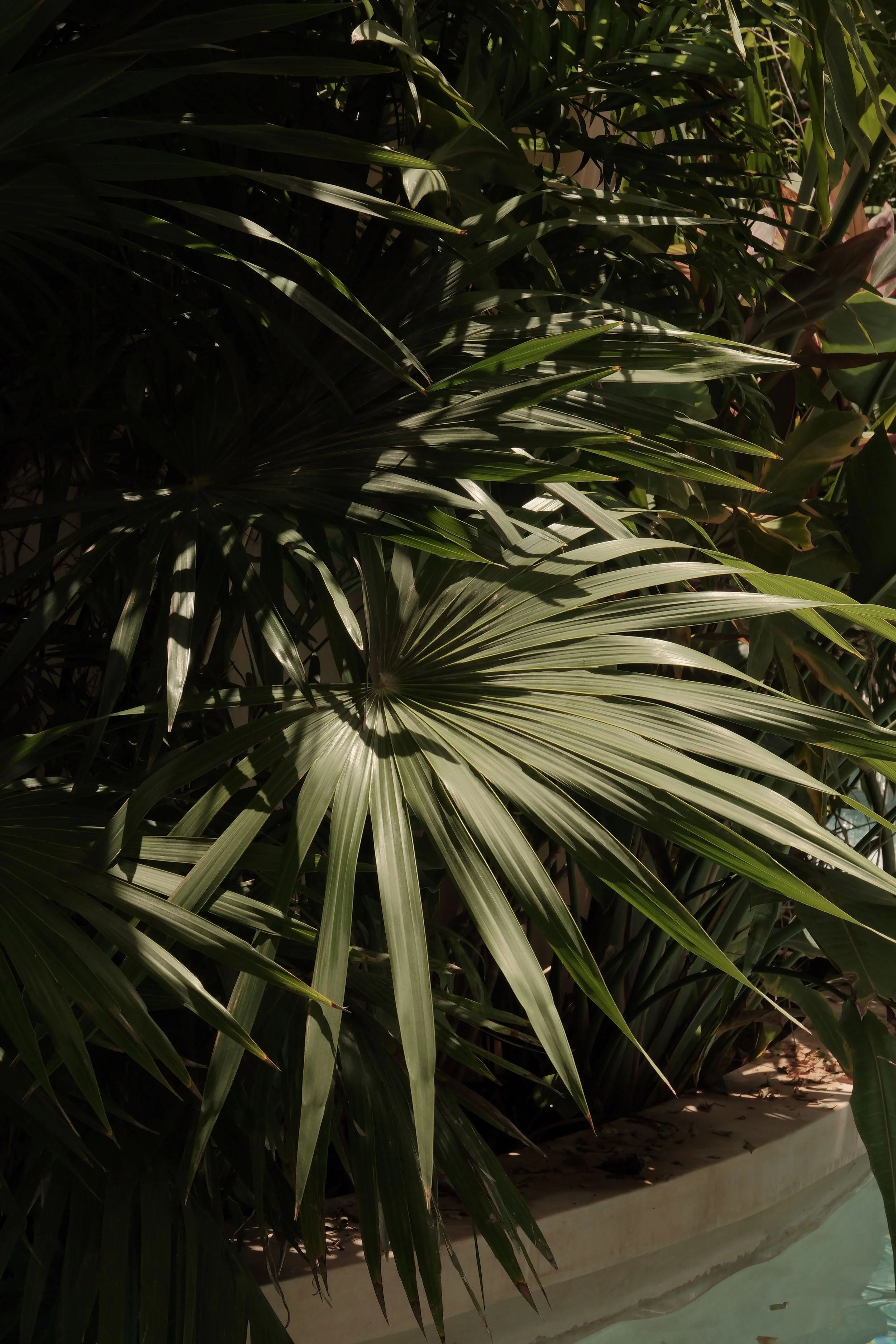 tulum-mexico-diavoller-34.jpg