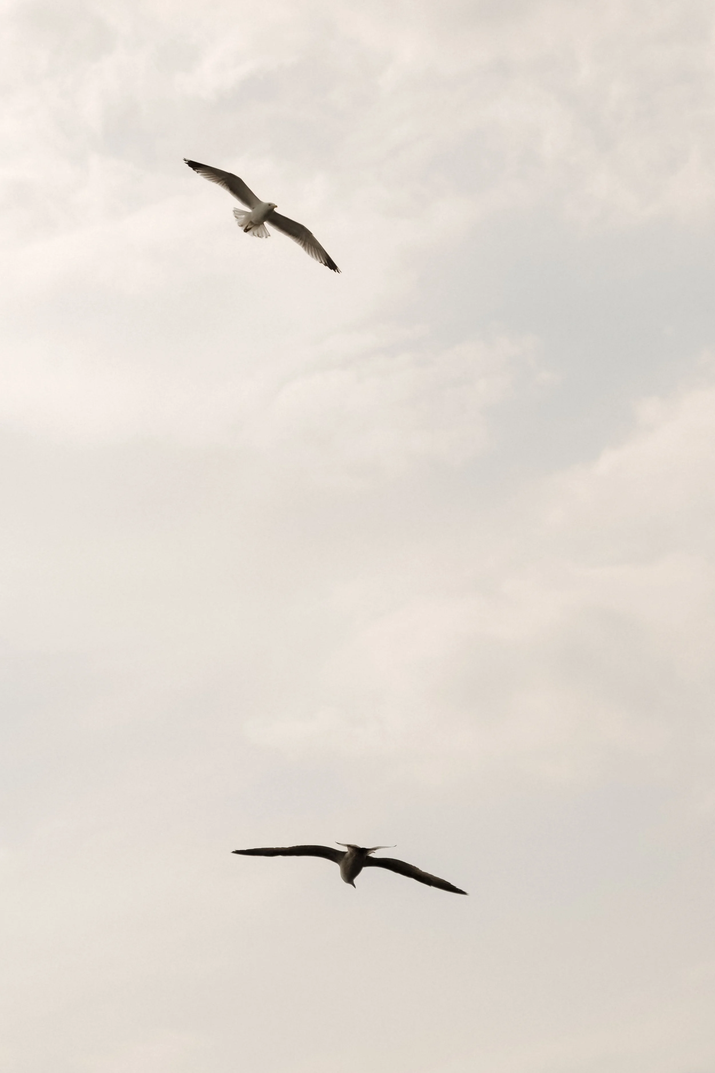 istanbul-turkey-diavoller-35.jpg