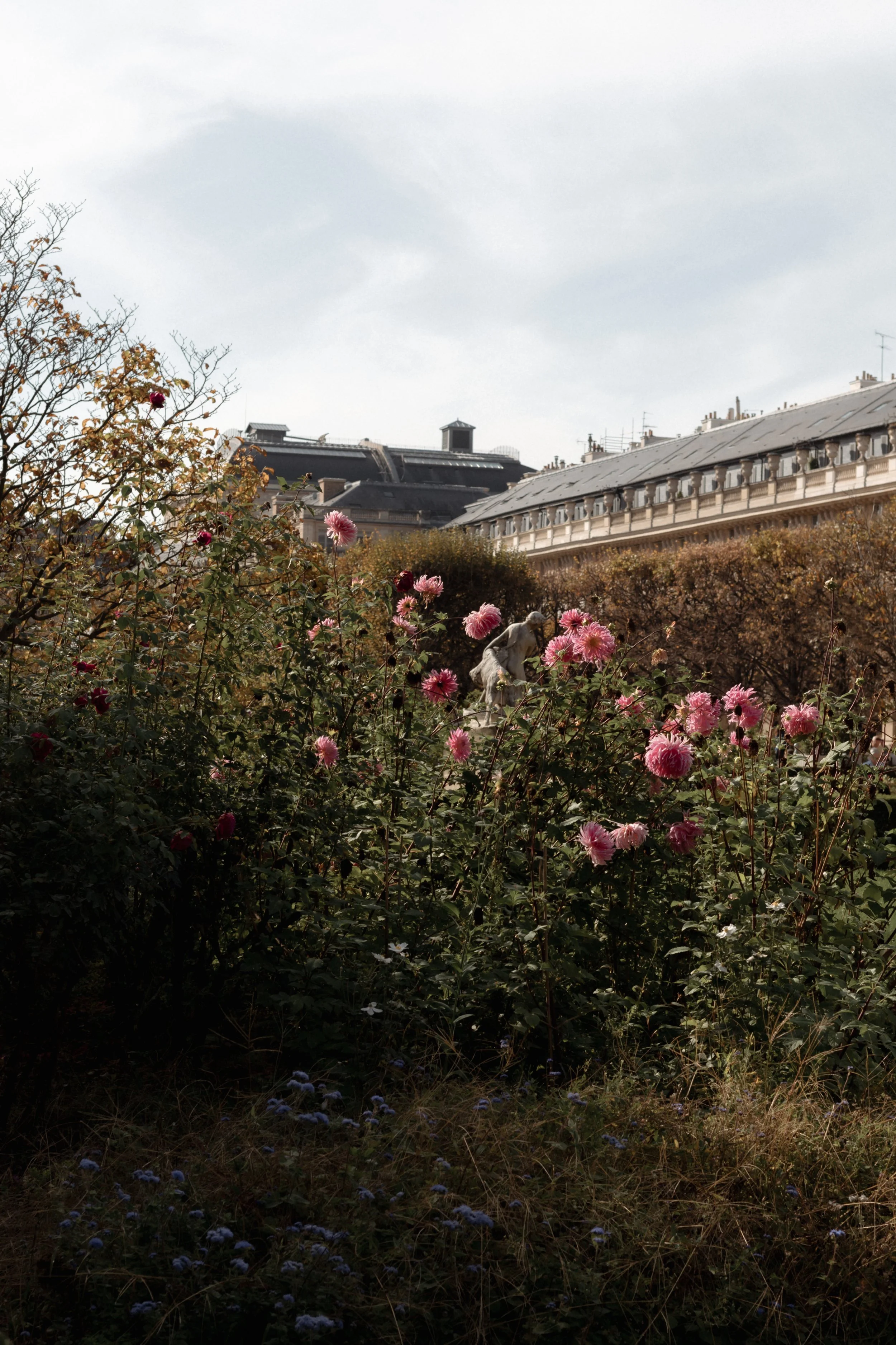 paris-france-diavoller-116.jpg