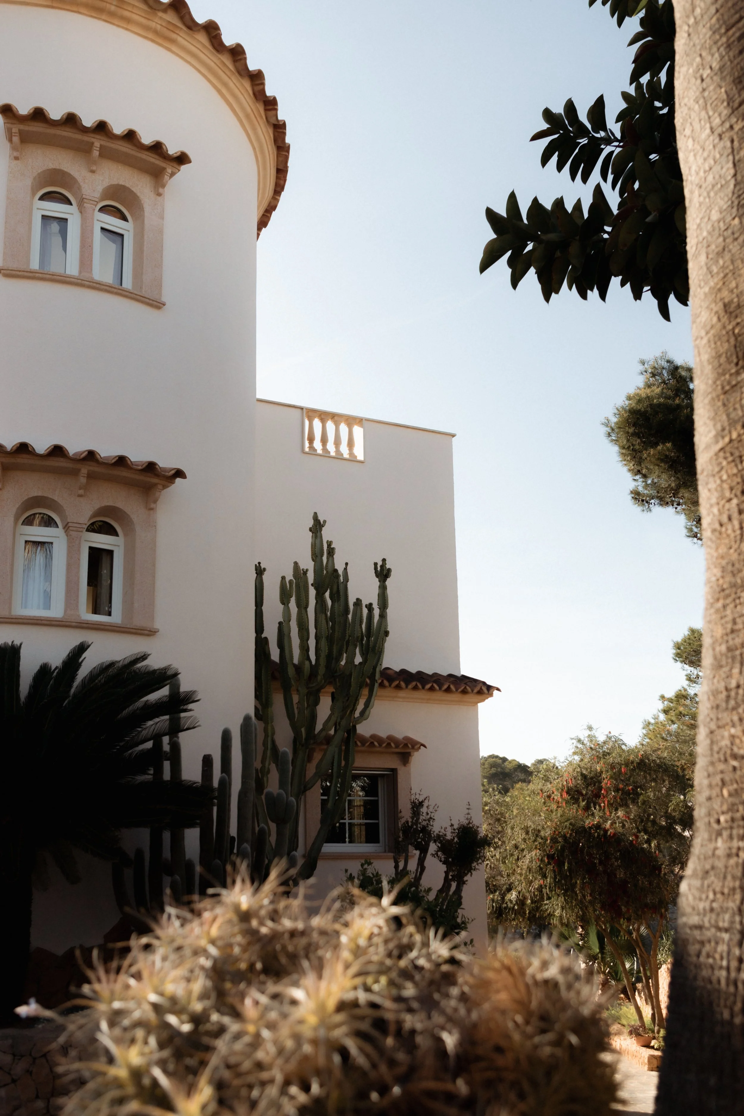 A white Mediterranean-style house with arched windows, a terracotta tiled roof, and decorative railings on a balcony. In the foreground, there are various cacti and succulents, with trees and a clear blue sky in the background.