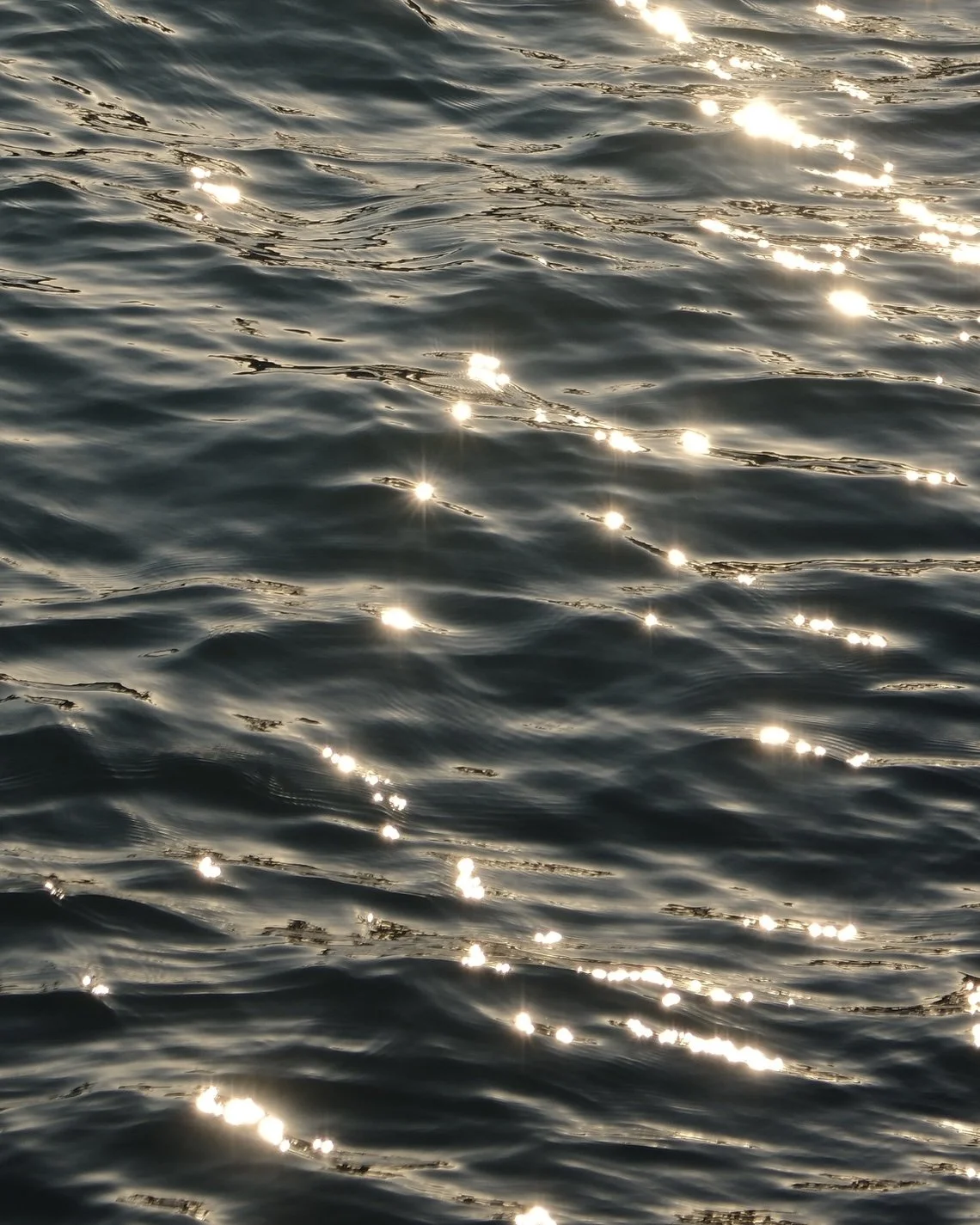 Shimmering sunlight reflecting on the surface of a body of water with gentle ripples.