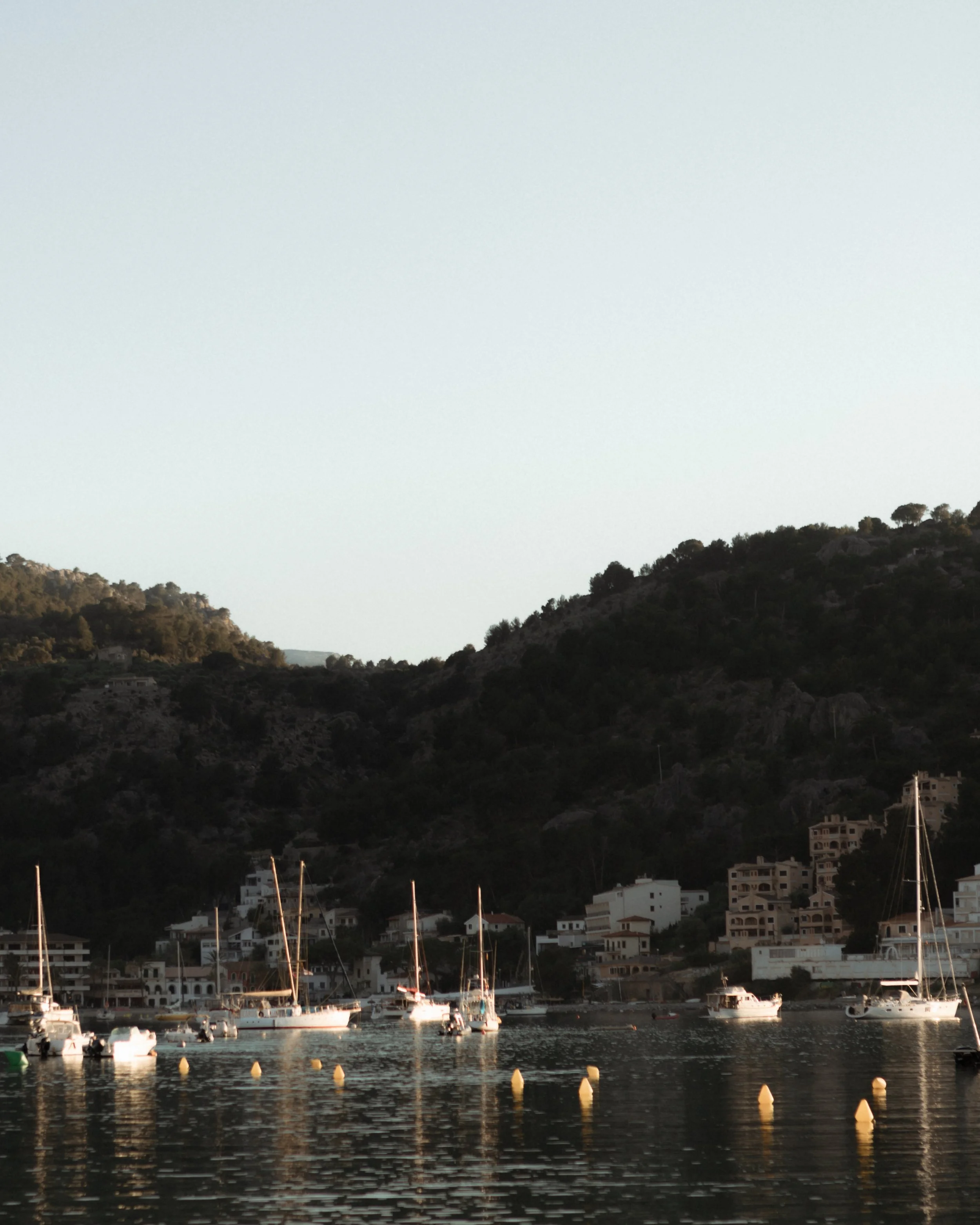 A harbor scene at dusk with boats docked in the water and residential hillside houses in the background.
