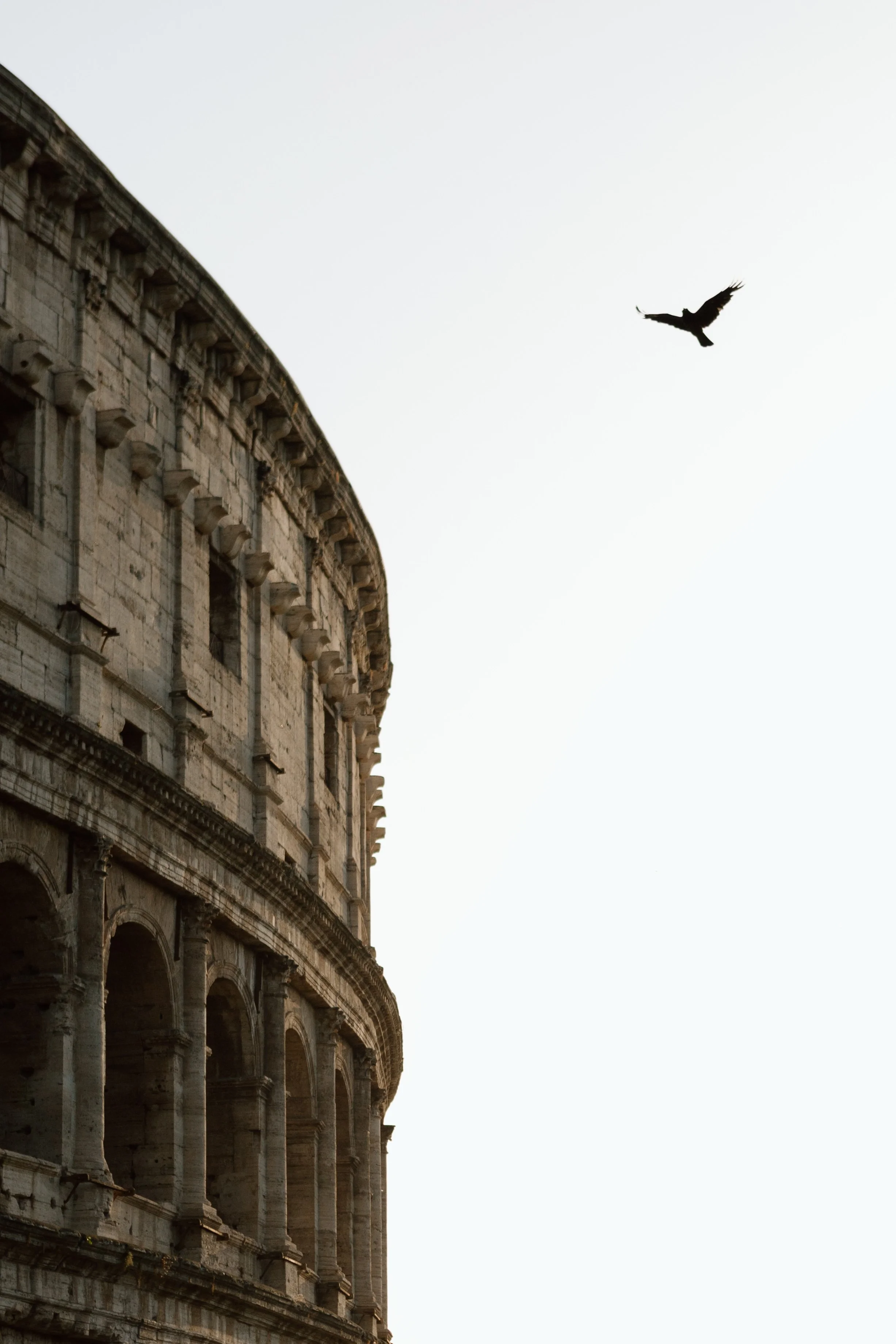 The exterior of the Colosseum in Rome, Italy, with a bird flying in the sky above.