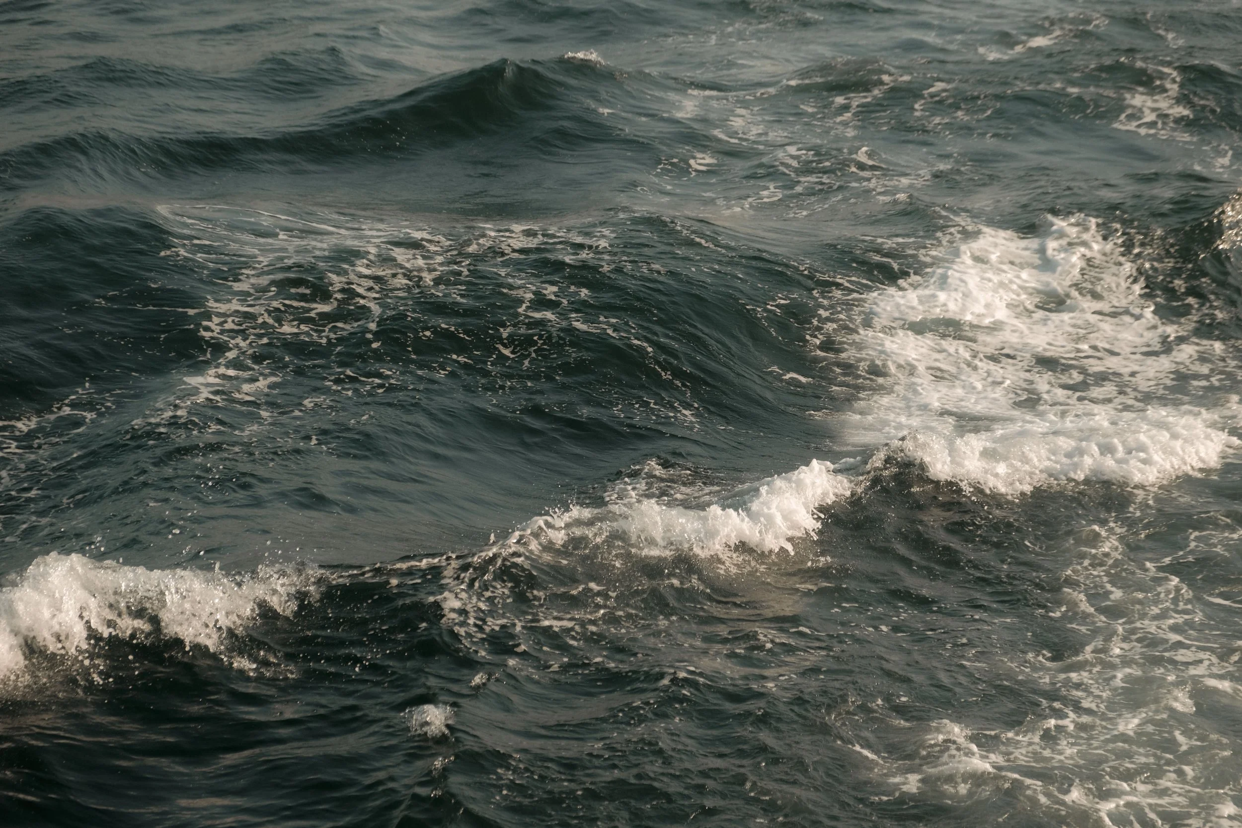 The image shows ocean waves with white foam on the water surface.