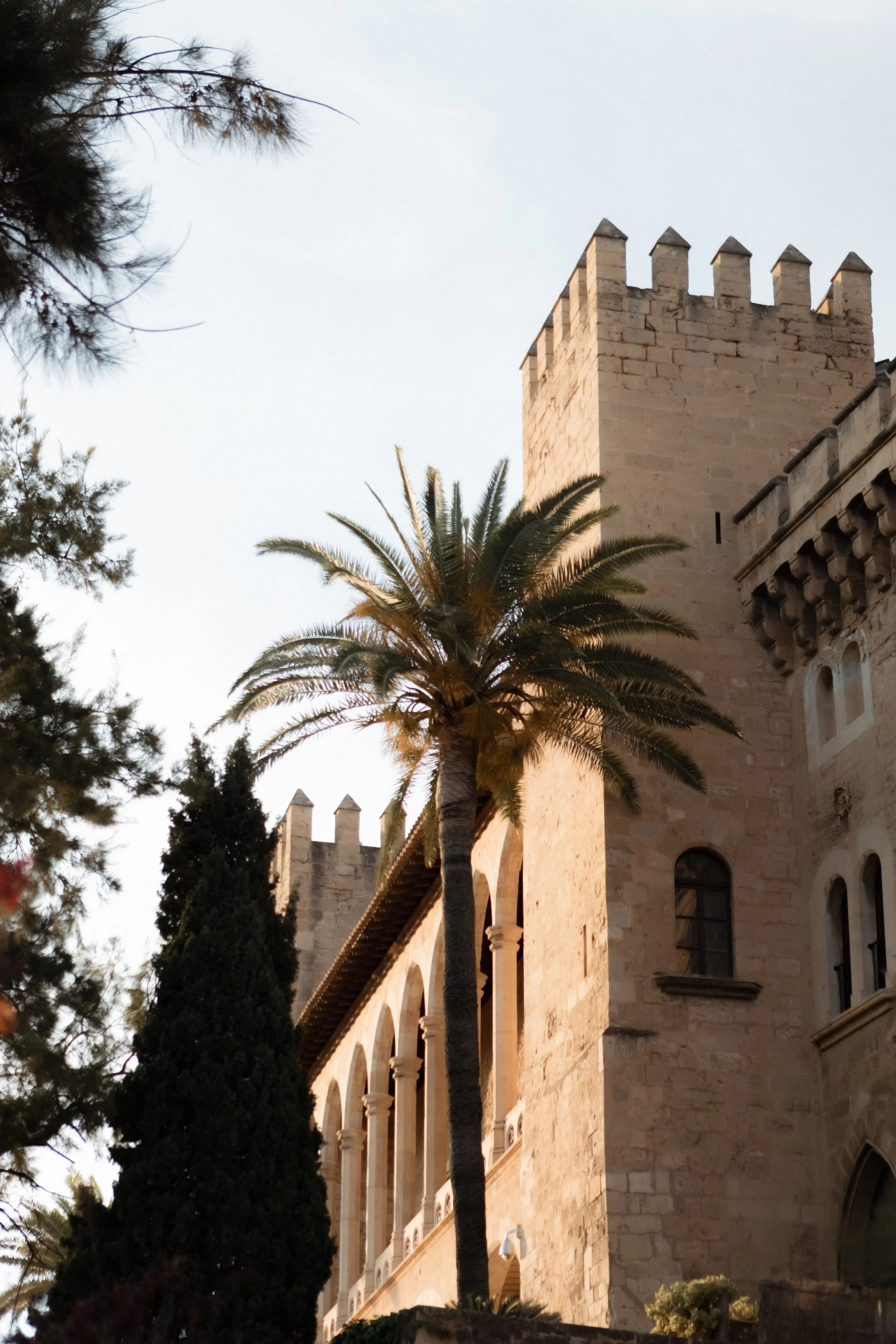 Historic stone building with crenellated tower, palm trees, and surrounding greenery.