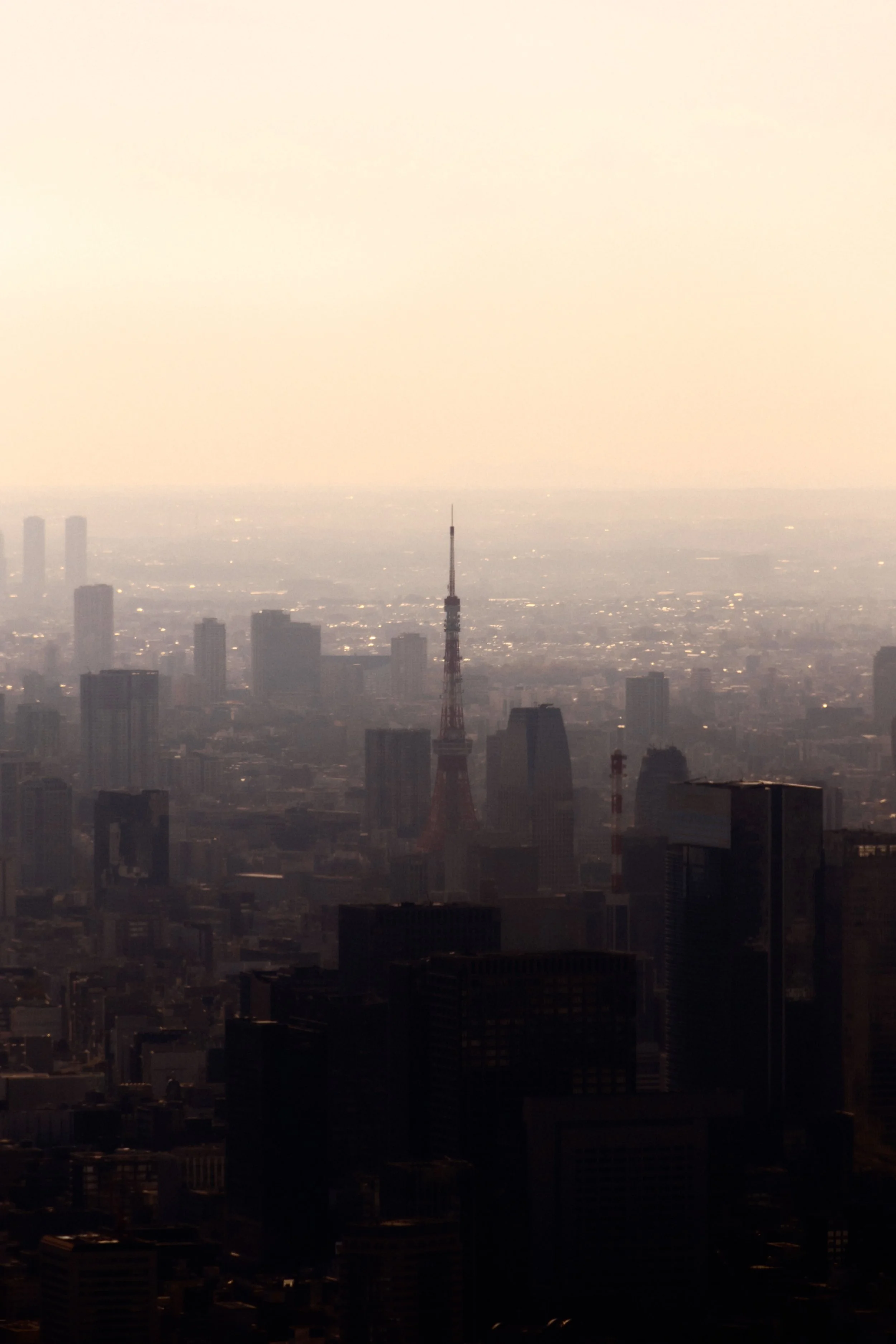 A city skyline during sunset with tall buildings, including a prominent tower, in Tokyo, Japan.