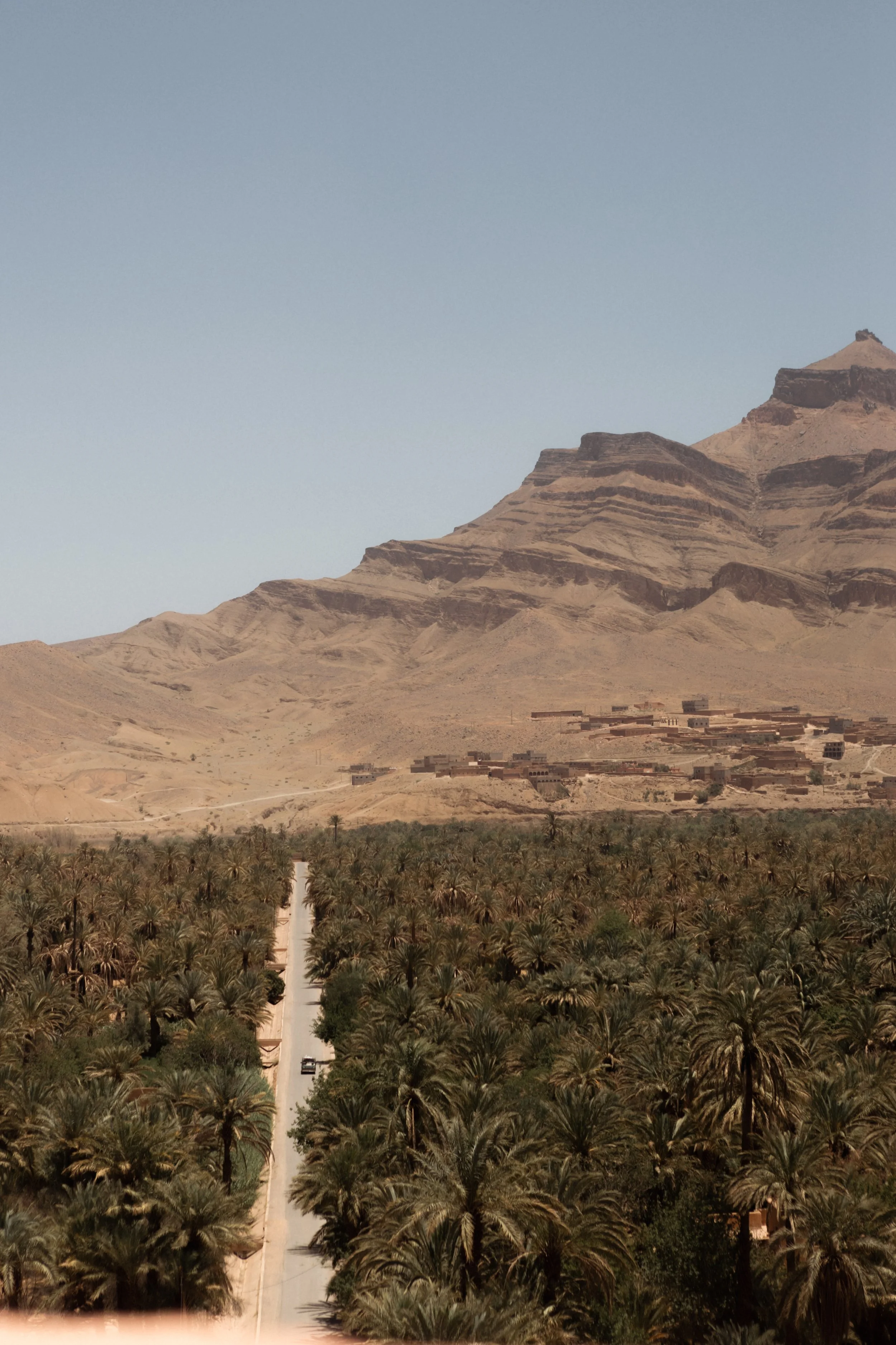 A desert landscape with a mountain in the background and a small village at the base, with a straight road running through a palm tree grove in the foreground.