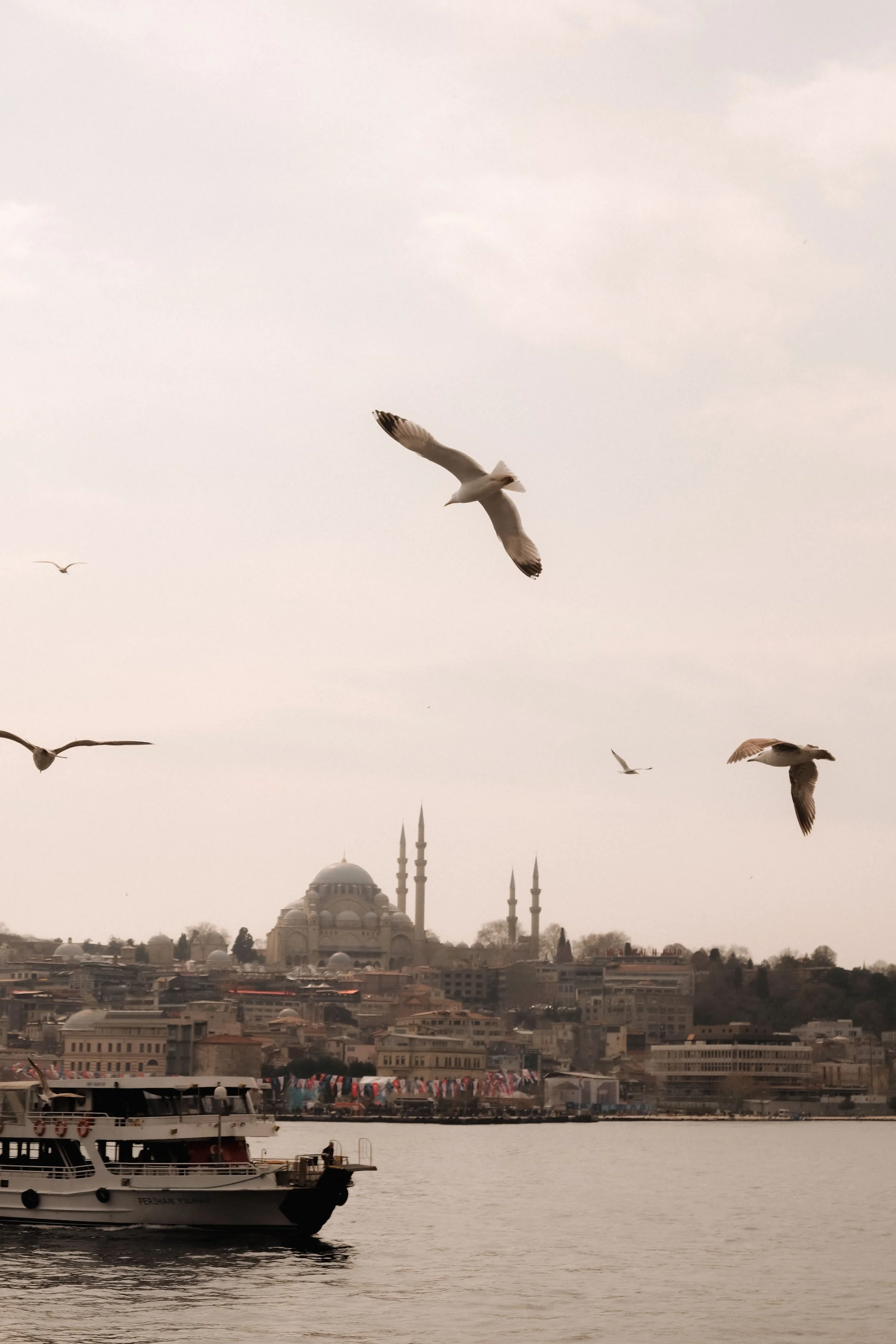 Seagulls flying above a city waterfront with a mosque featuring multiple minarets in the background; a boat on the water in the foreground.