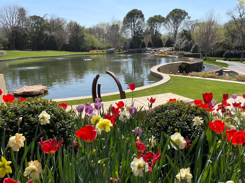Colorful tulips and daffodils in the foreground near a pond with a fountain, surrounded by lush greenery and trees under a blue sky.