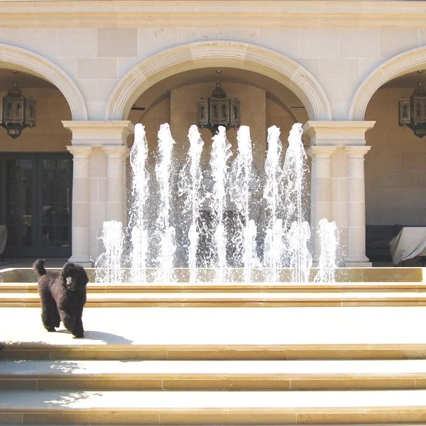 A black poodle puppy standing on beige tiles in front of a fountain with water jets, in front of a building with arched doorways and lantern-style light fixtures.