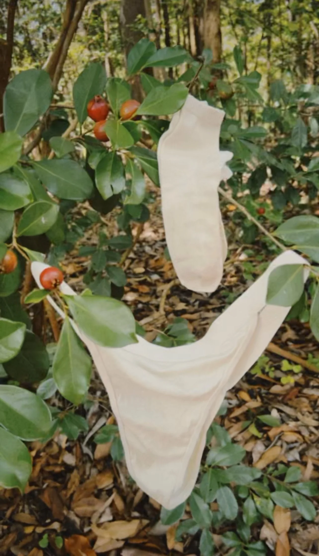 View recent photos 4.jpeg