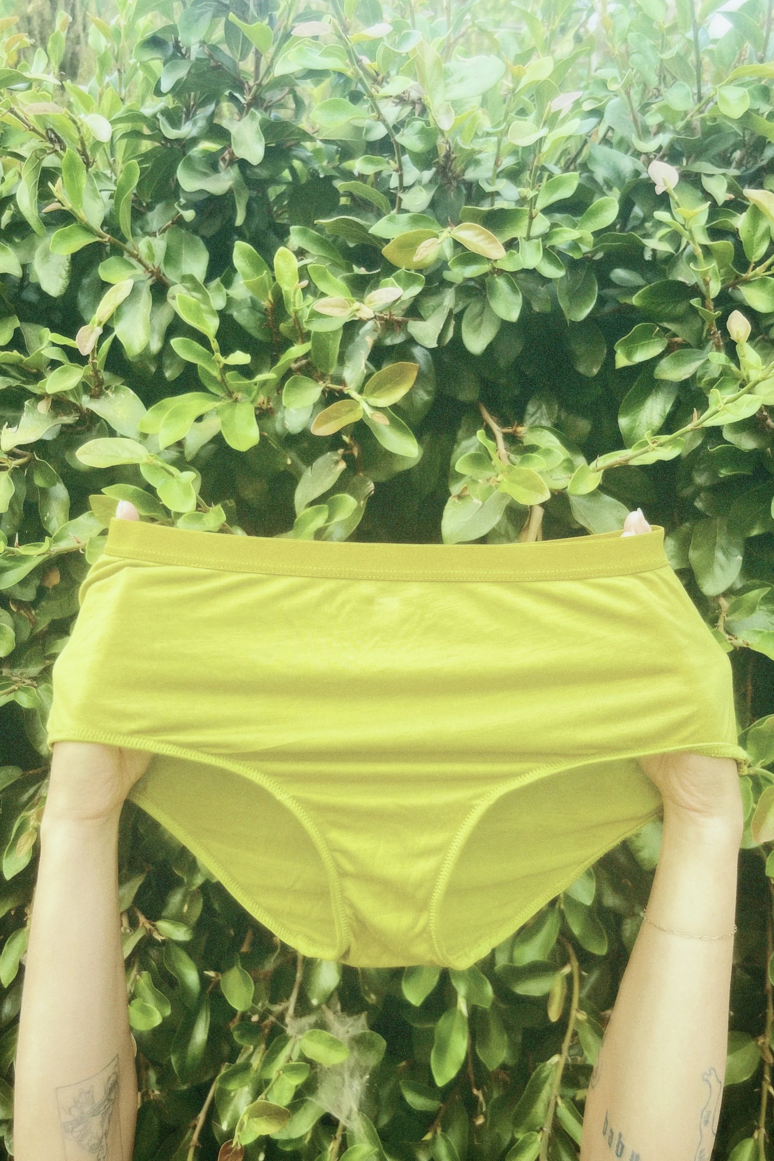 cpm35 2024-07-10 194010.594 2.jpg