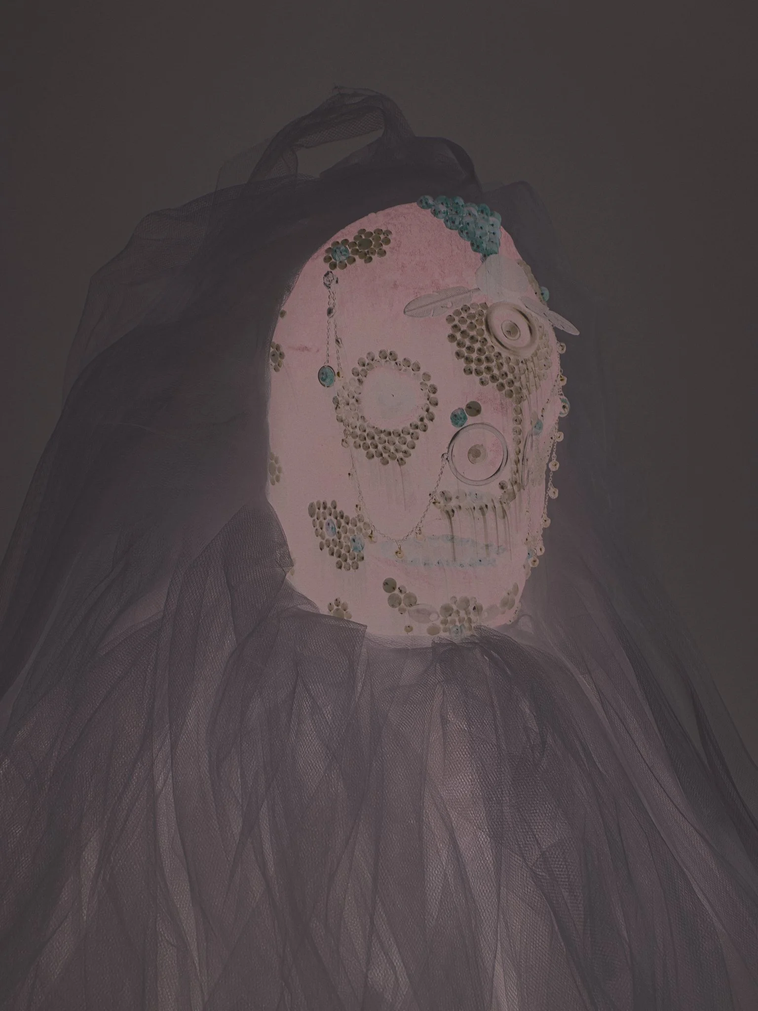 Photo Series - Craig Mulcahy