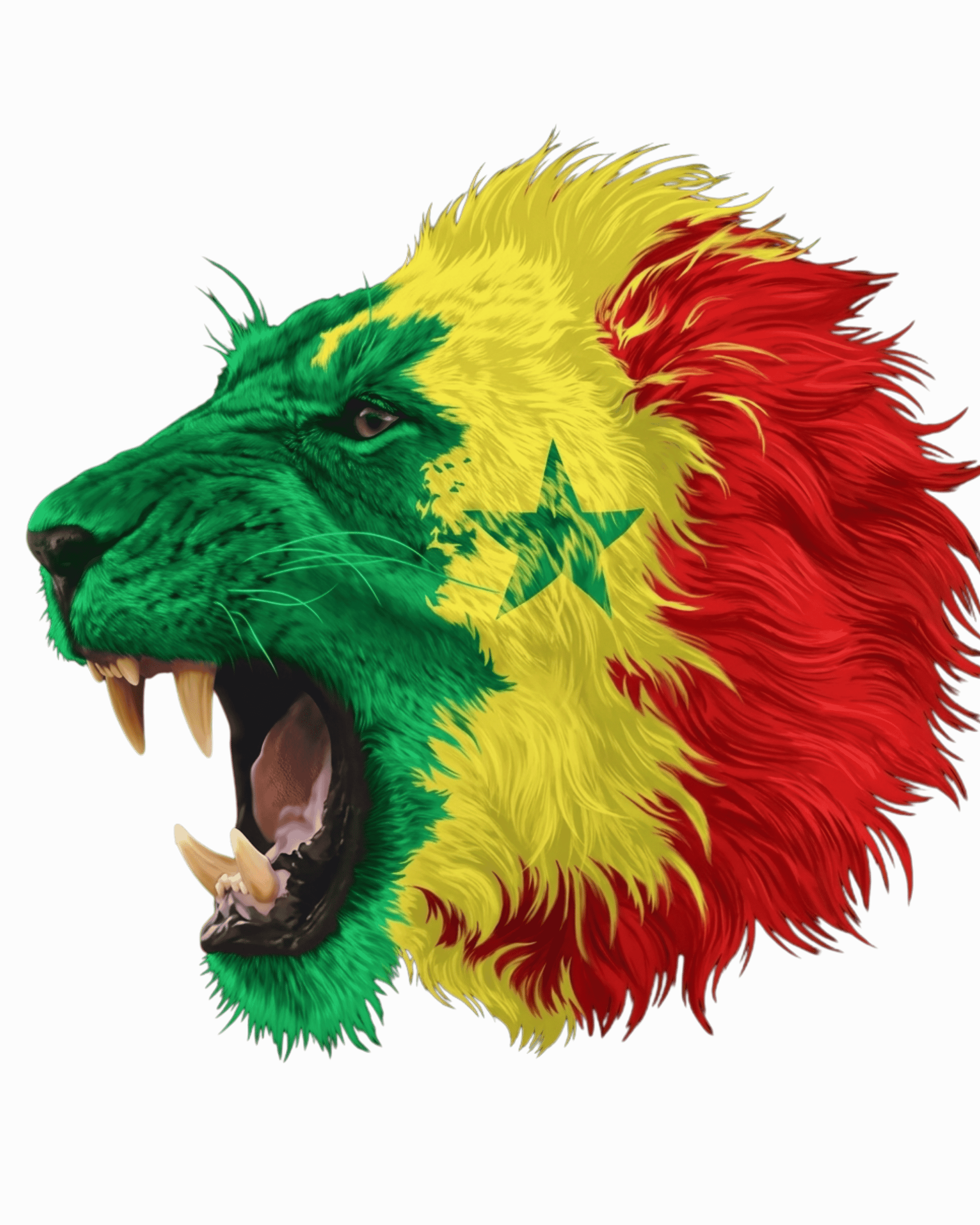 Official Senegal national team fixtures and NYC bars for World Cup 2026. Watch Senegal vs France in Manhattan, NYC.