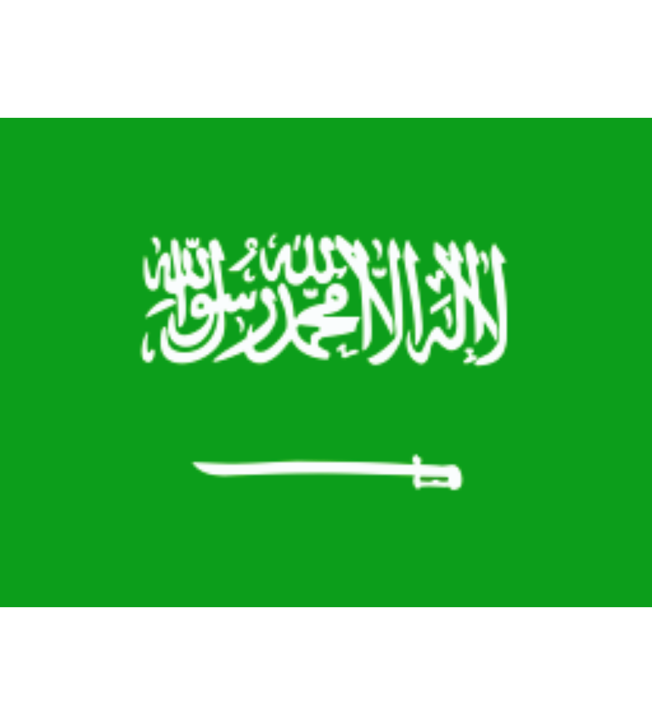 Best bars in NYC for Saudi Arabia fans and the Green Falcons to watch football; أفضل مجلس في نيويورك لمشجعي السعودية والصقور الخضراء لمشاهدة مباريات كرة القدم.