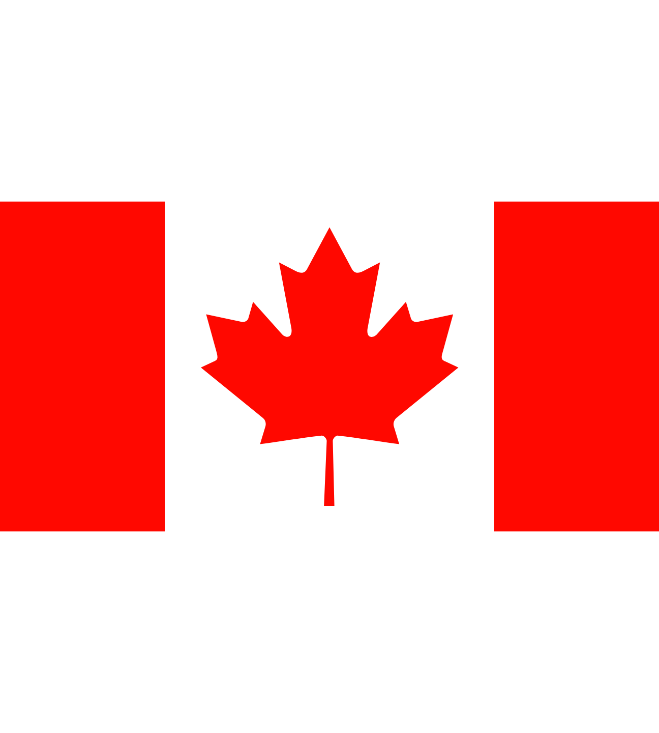 Best bars in NYC for Canada fans and Les Rouges to watch soccer; Le meilleur endroit à New York pour les fans du Canada et Les Rouges pour voir le match et célébrer le True North.
