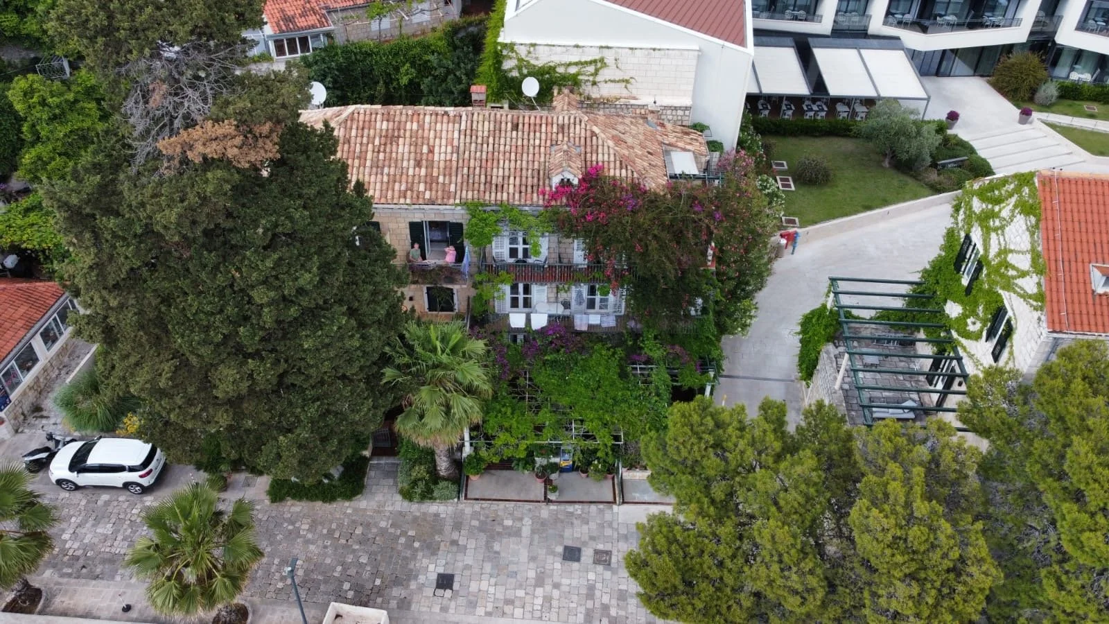 Aerial view of a neighborhood showing a mix of houses, trees, and plants, with a cobblestone street and parked cars.