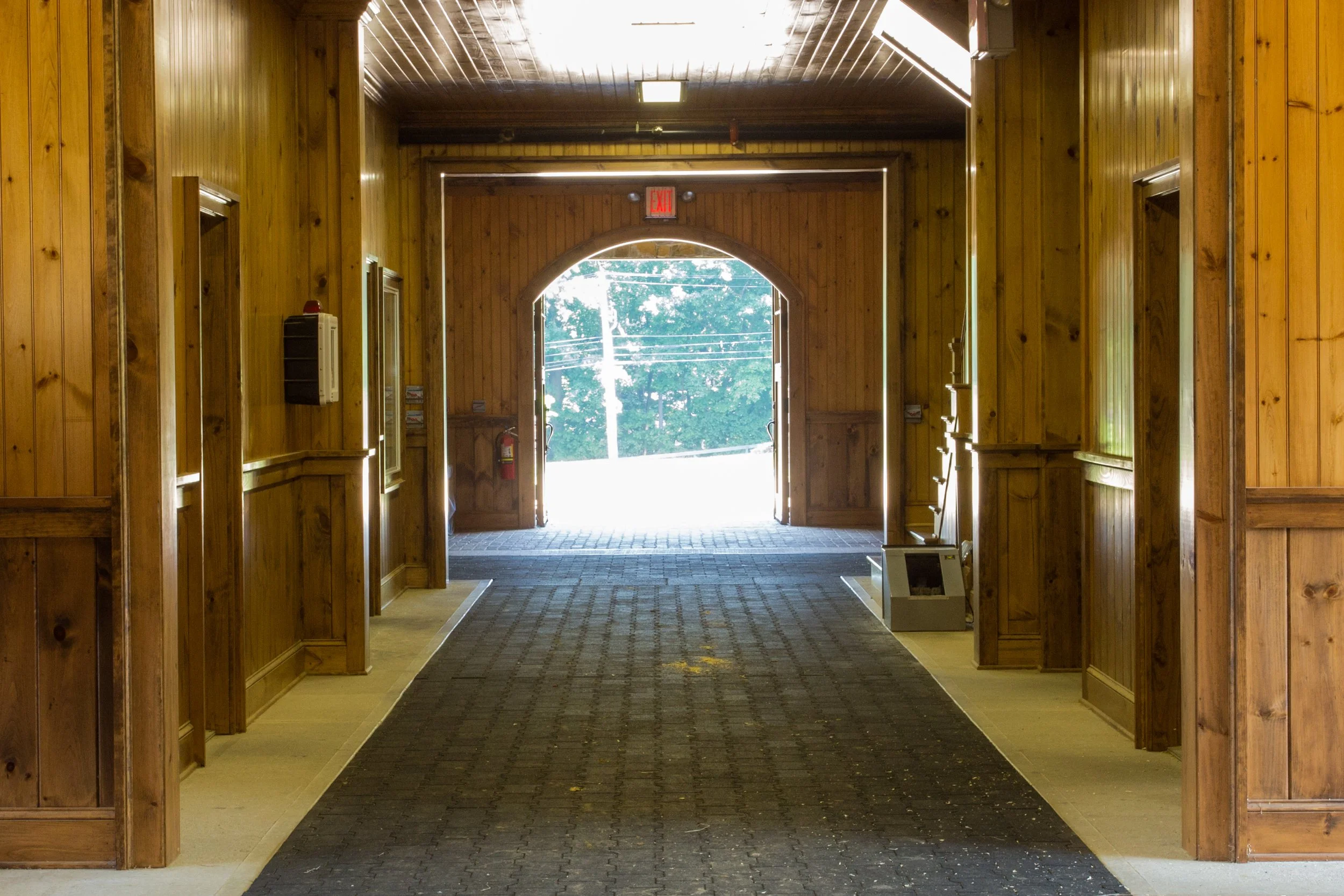 View of an indoor wooden hallway leading to an open door with bright light outside, trees, and utility wires visible.