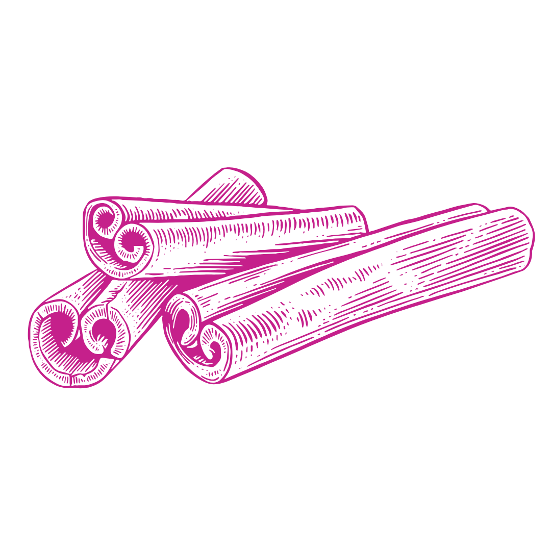 Three cinnamon sticks illustrated in a magenta line drawing