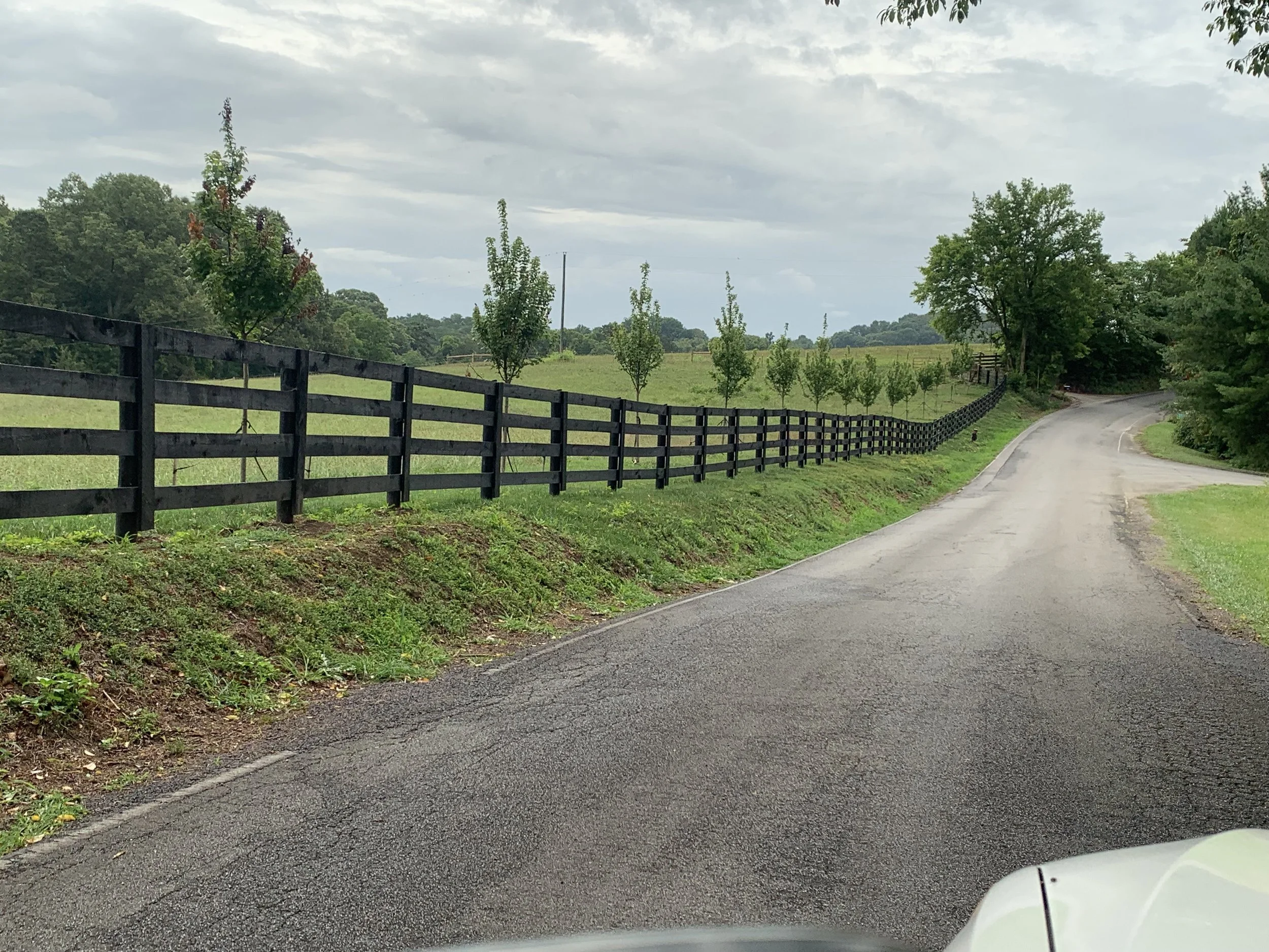 Long painted 4 rail.jpeg