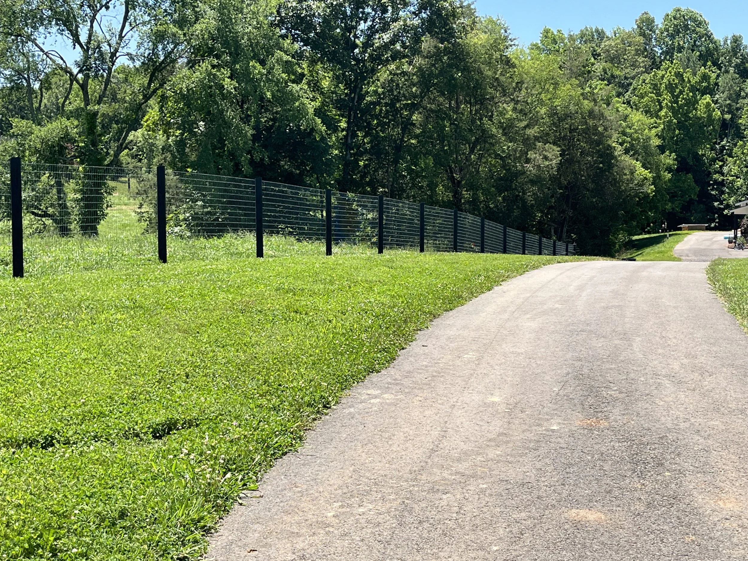 Painted woven wire.jpeg