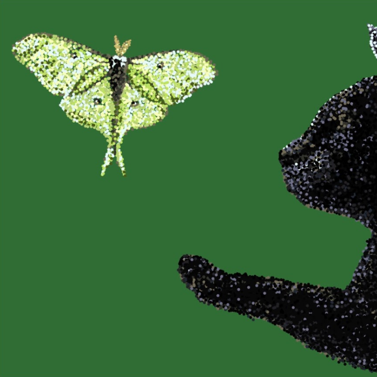 Screenshot 2026-03-12 123949.png