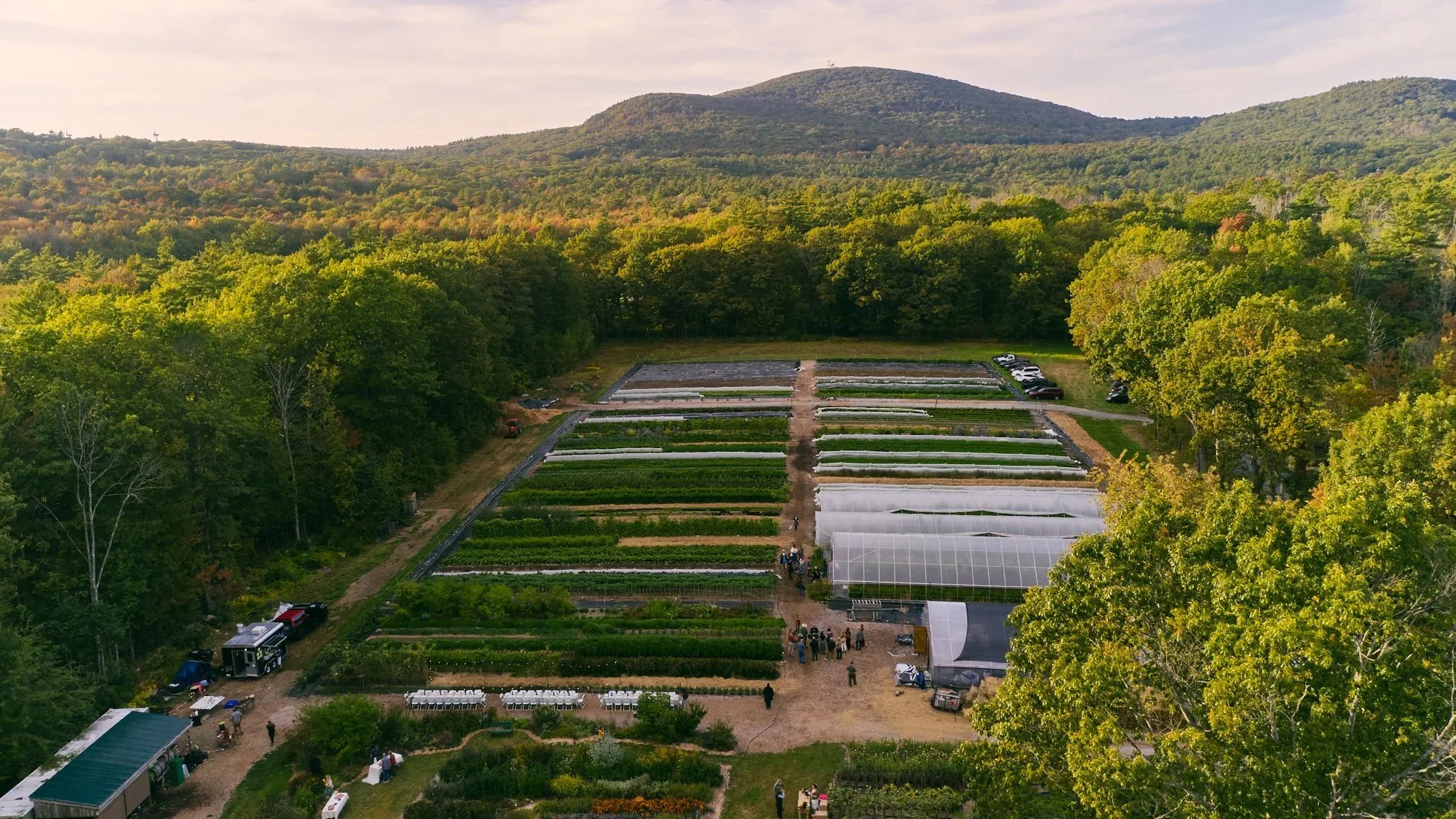 Aerial view of a large green farm with planting beds, greenhouses, trees surrounding the farm, and a mountain in the background, during daytime.