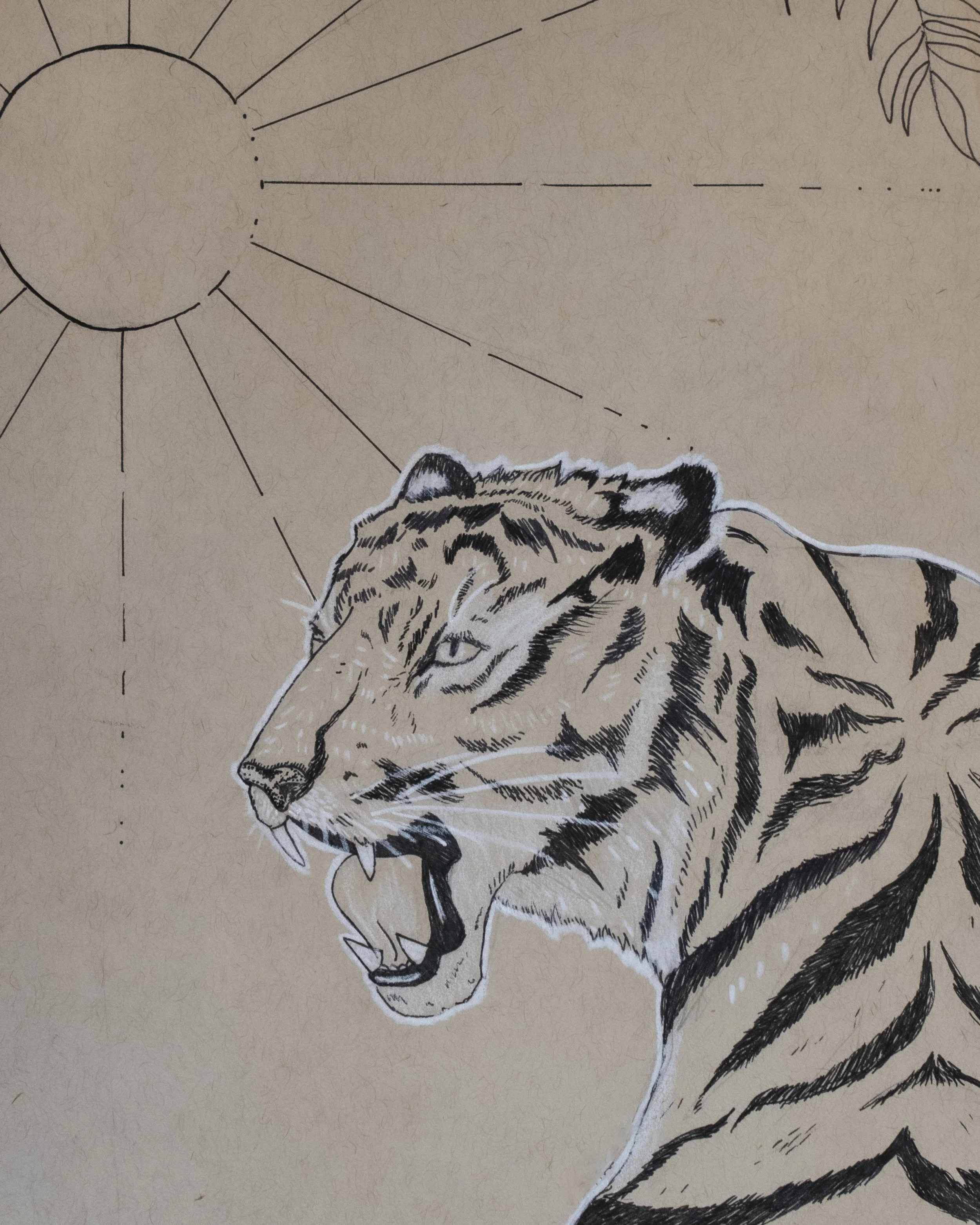 "Tiger", 2024, Ink on Paper, 8" x 10"