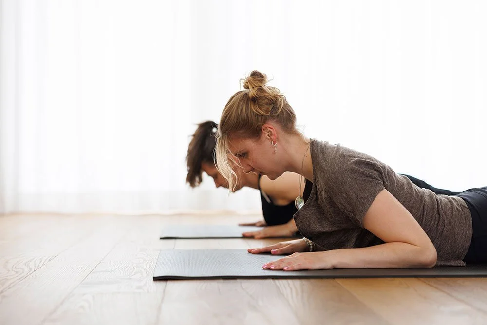 Drei Frauen liegen in der Yoga-Position im Yoga-Studio, die auf den Bauch gestützt sind und die Unterarme auf Matten ablegen.