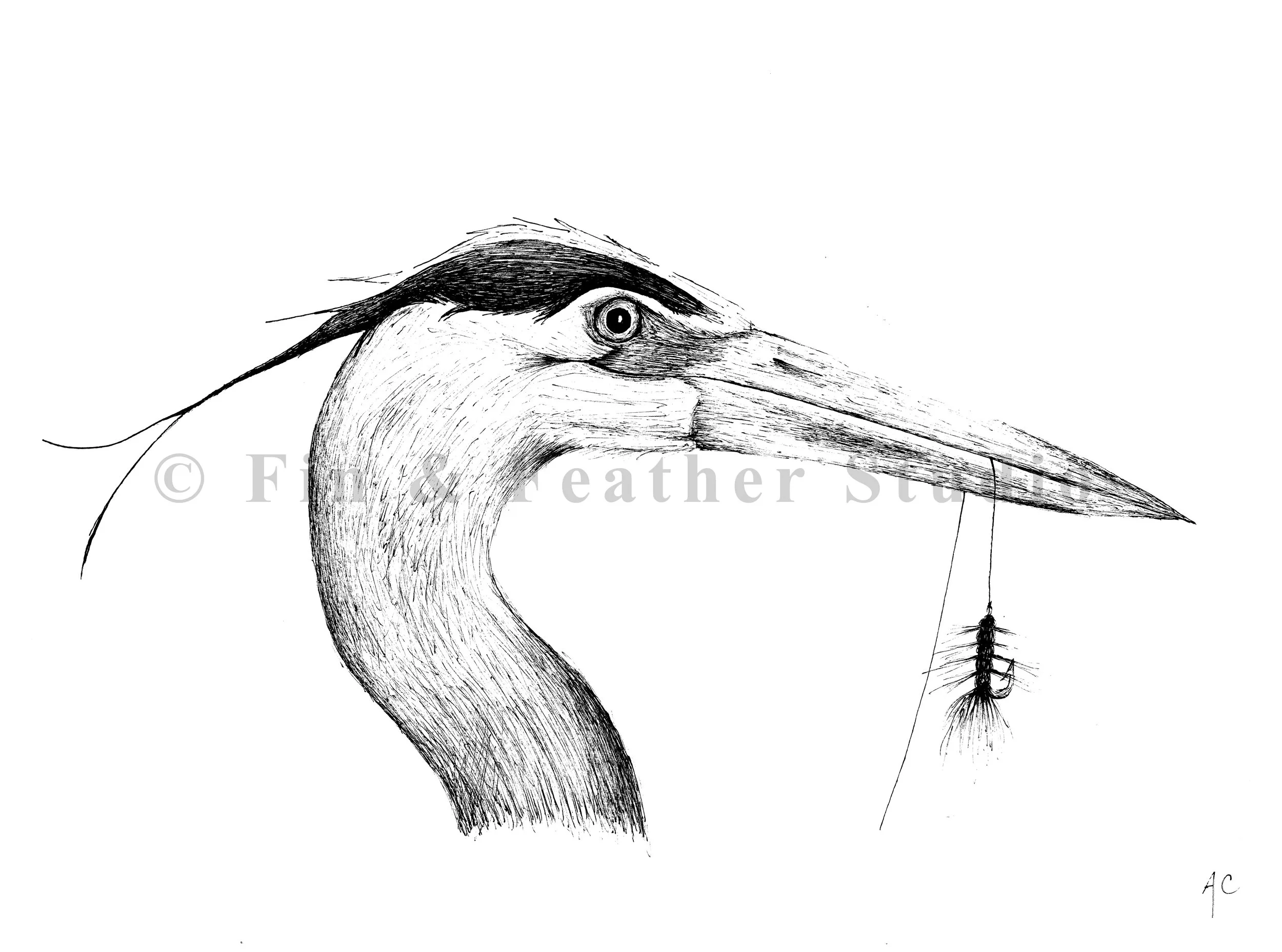 Heron_Watermark.jpg