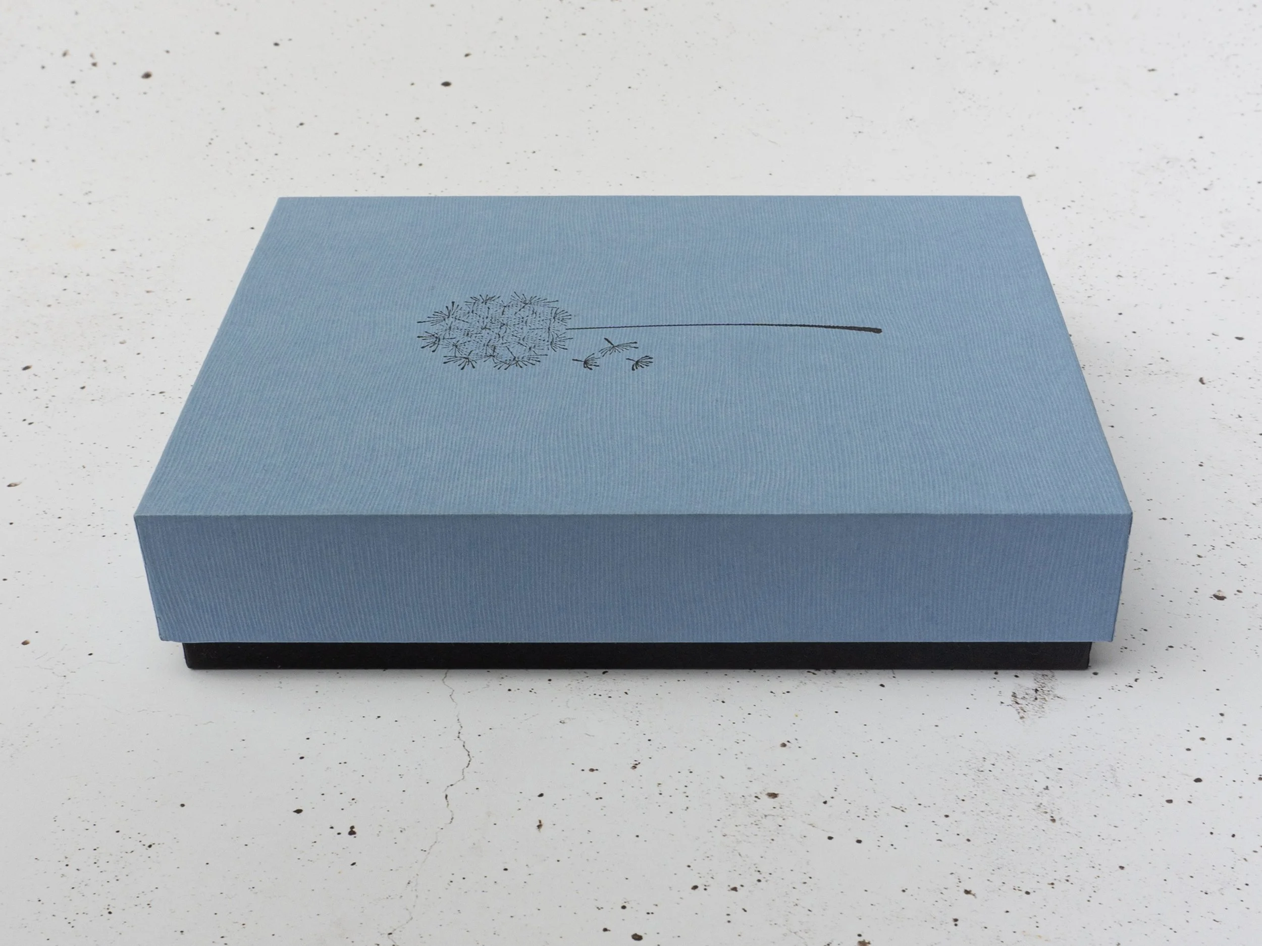 Scatola-20.jpg