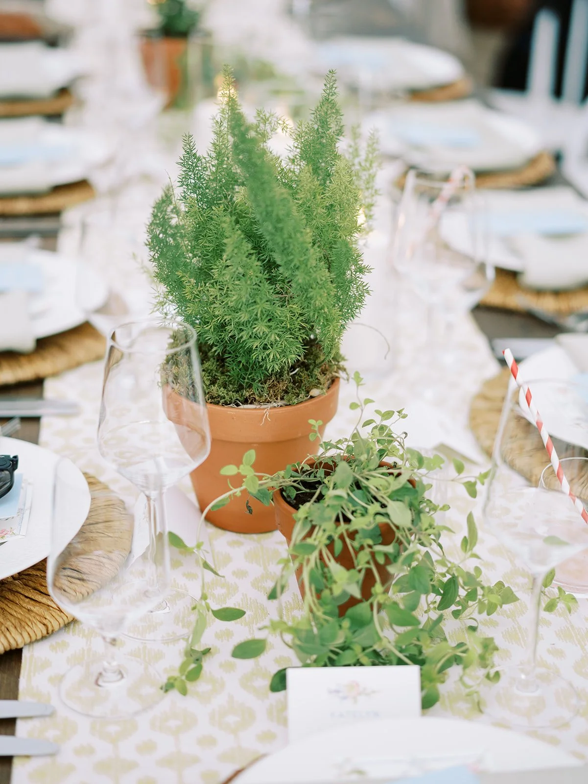 Virginia Wedding Photographer Natalie Jayne Photography-00774.jpg