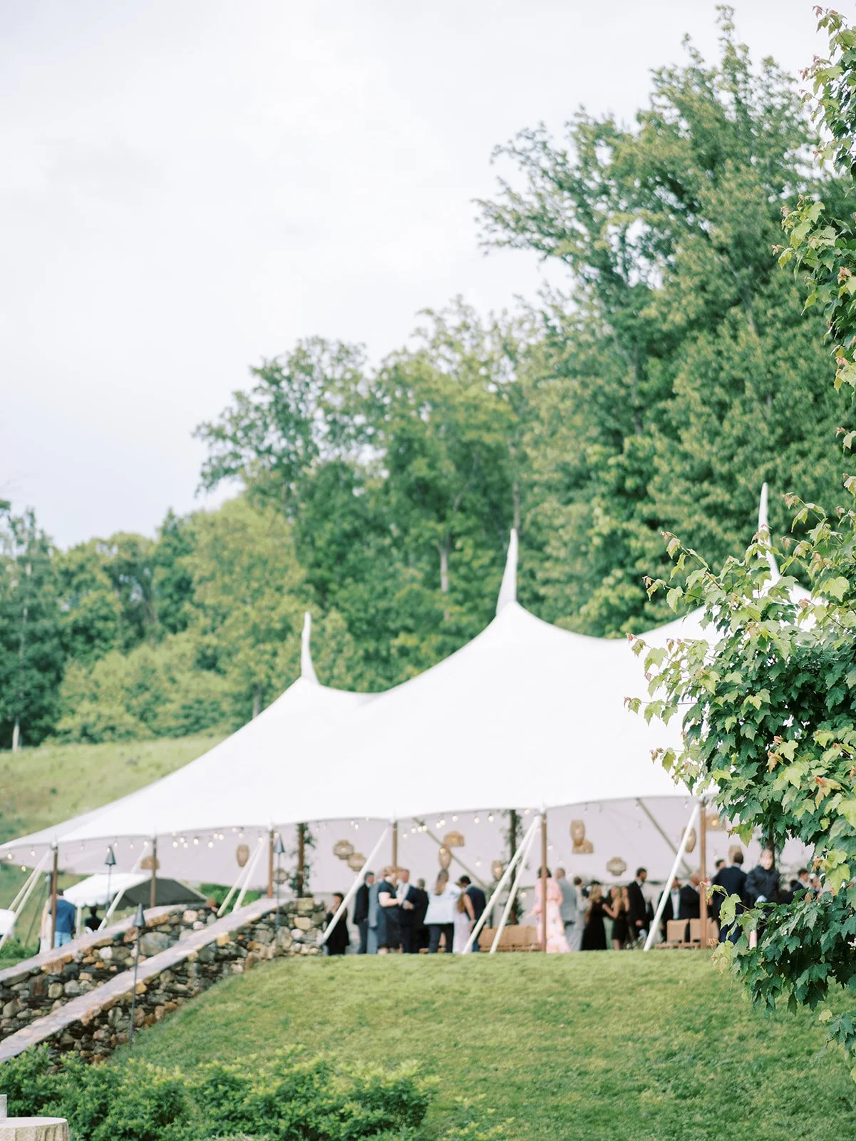 Virginia Wedding Photographer Natalie Jayne Photography-00822.jpg
