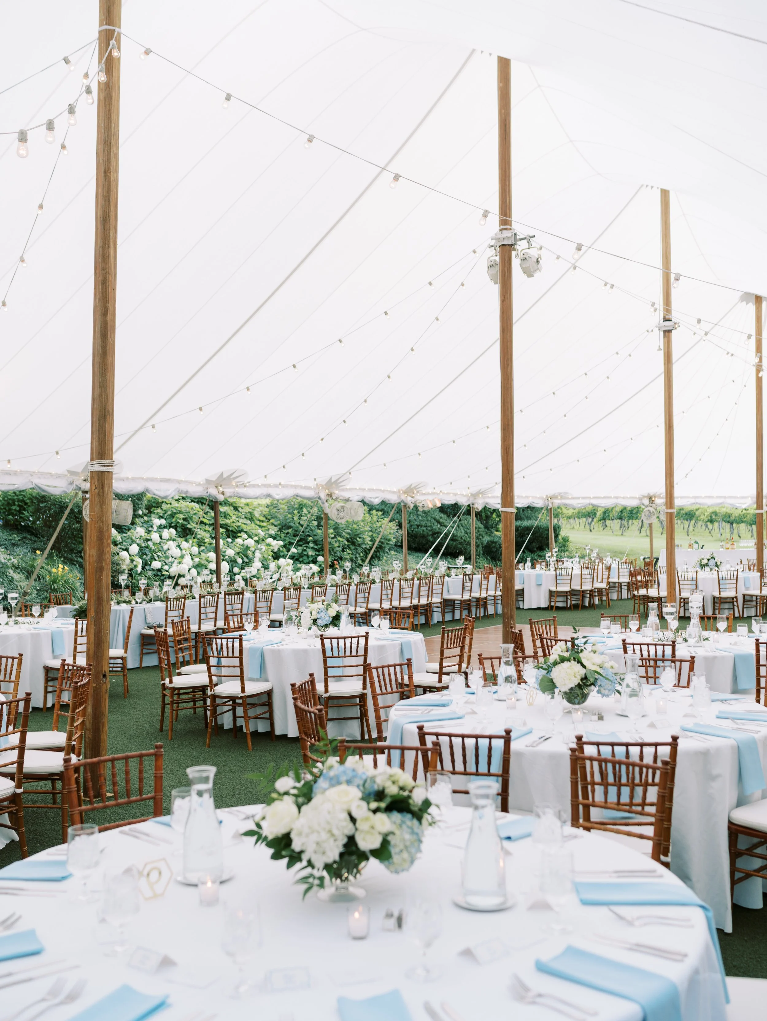 Keswick Vineyards Virginia Fine Art Wedding Photographer Natalie Jayne Photography-DSC03492_1.jpg