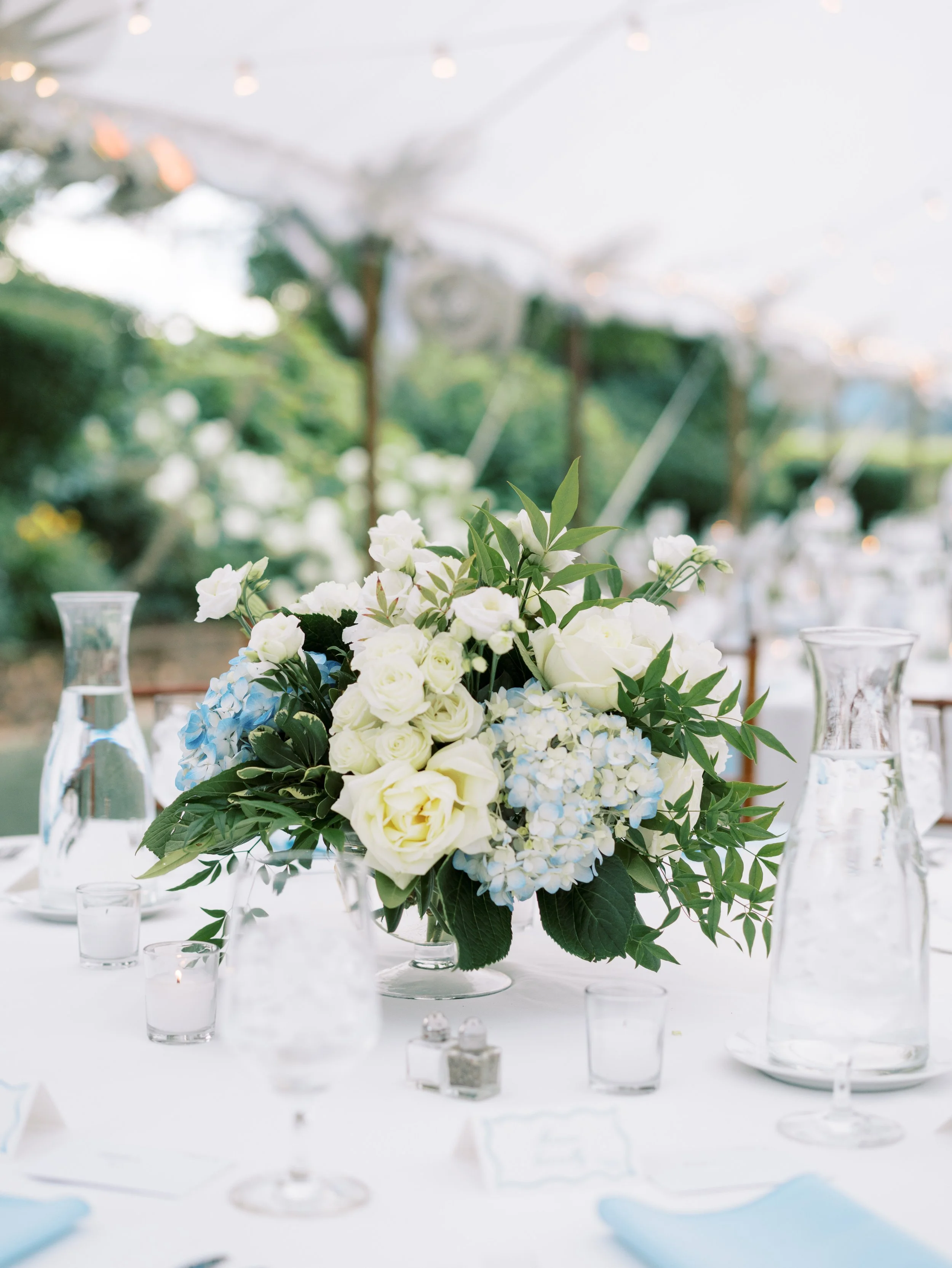 Keswick Vineyards Virginia Fine Art Wedding Photographer Natalie Jayne Photography-DSC04324.jpg