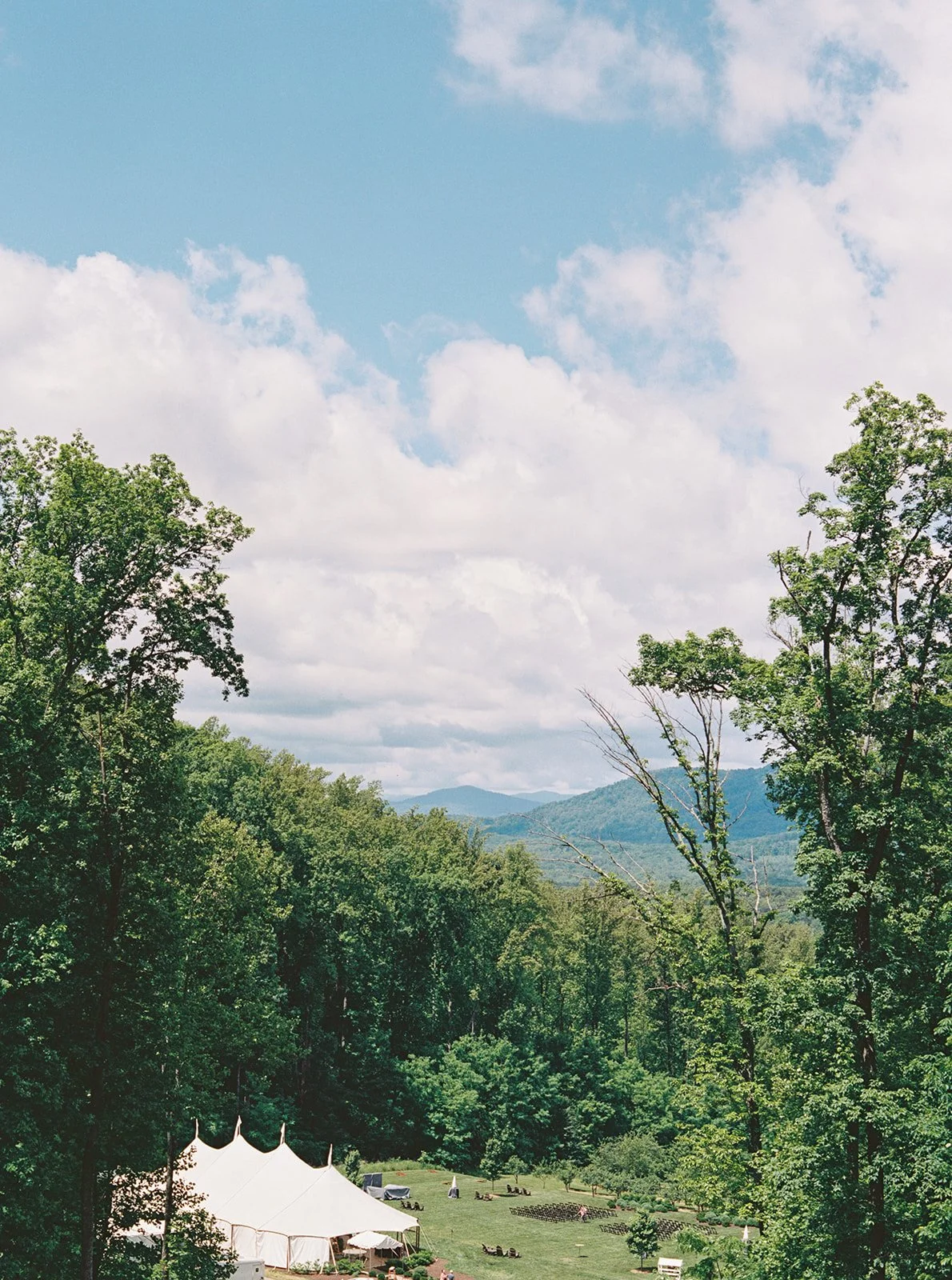 Virginia Wedding Photographer Natalie Jayne Photography-01-9.jpg