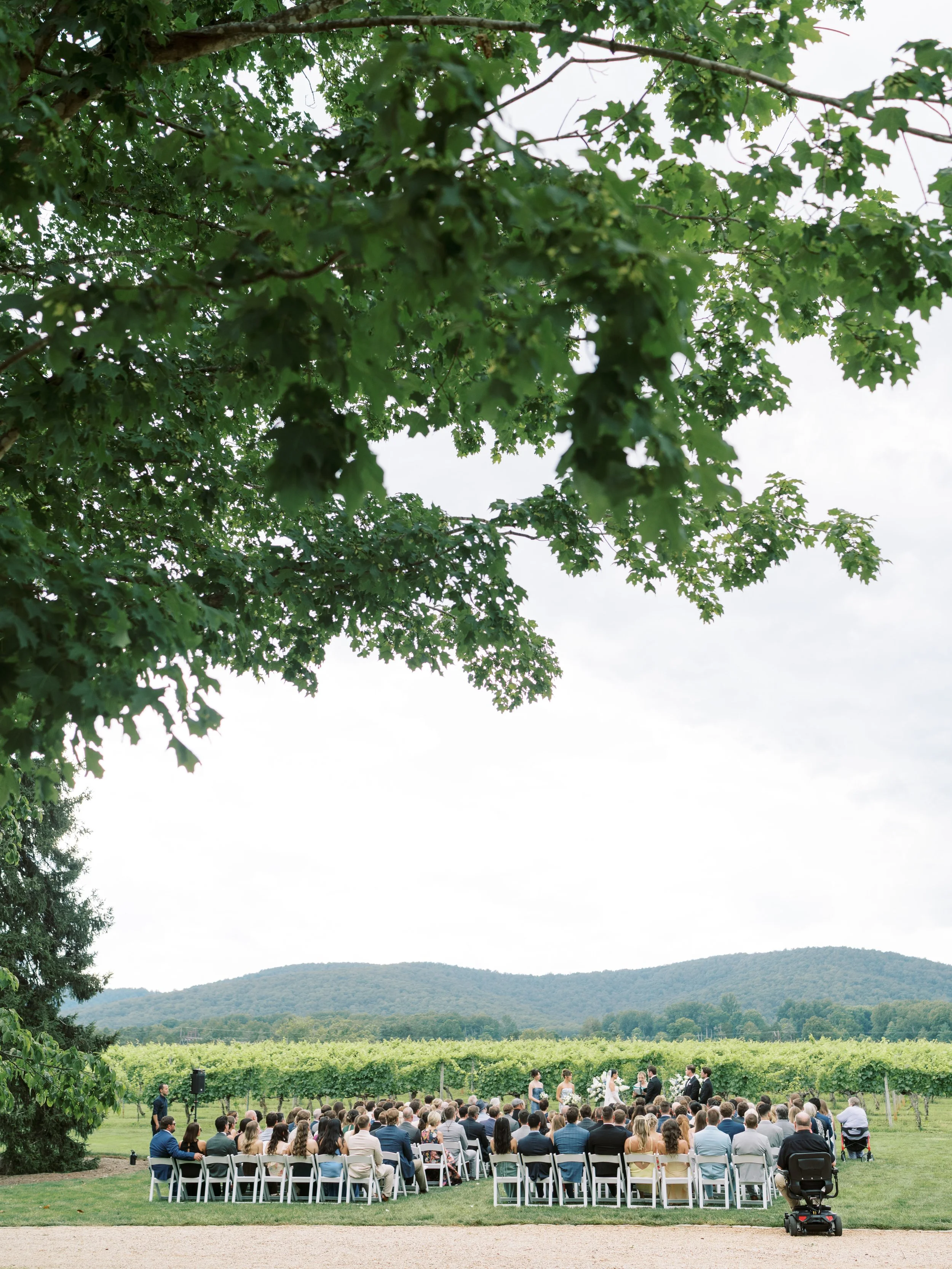 Keswick Vineyards Virginia Fine Art Wedding Photographer Natalie Jayne Photography-DSC03141_1.jpg