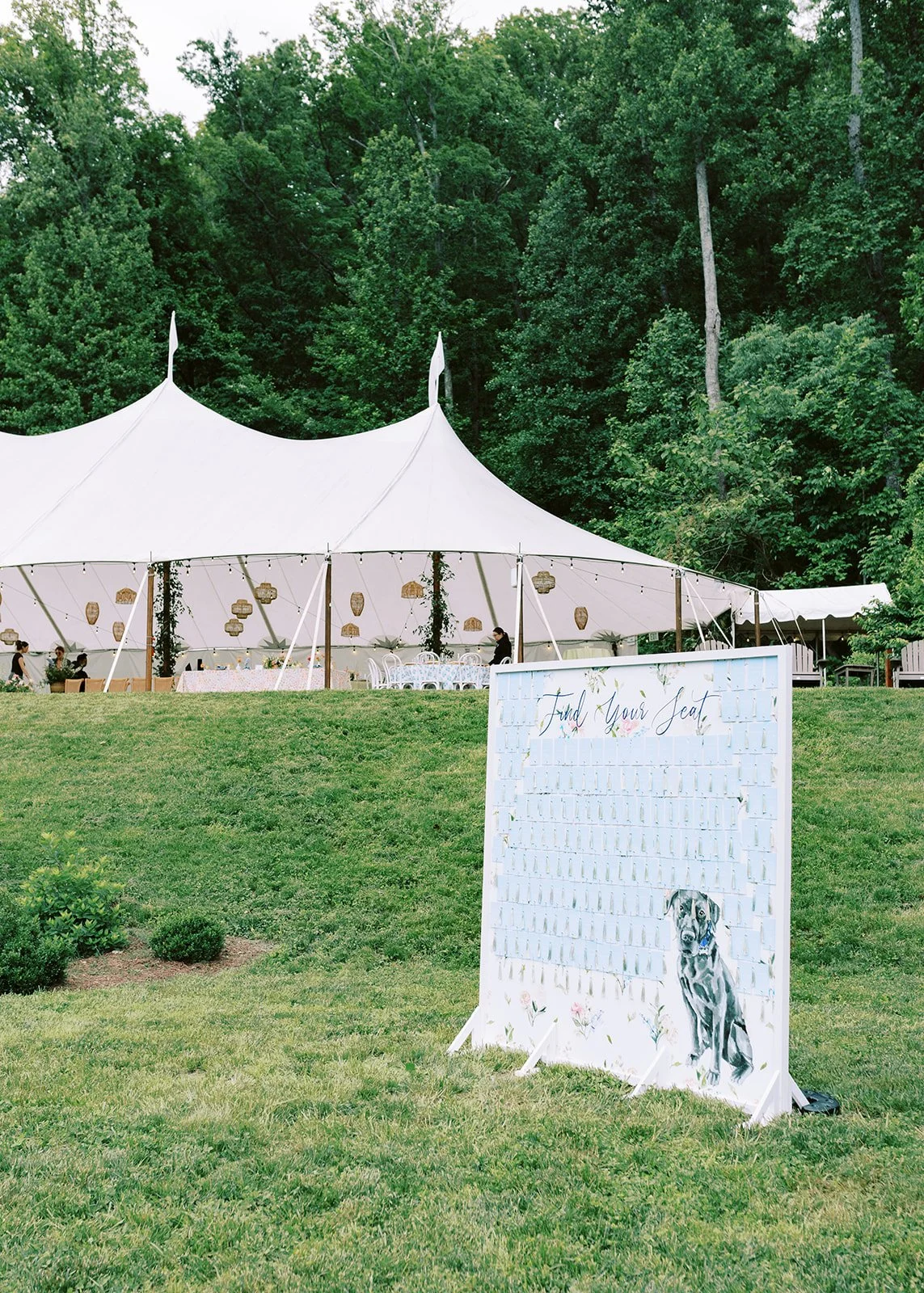 Virginia Wedding Photographer Natalie Jayne Photography-9286.jpg