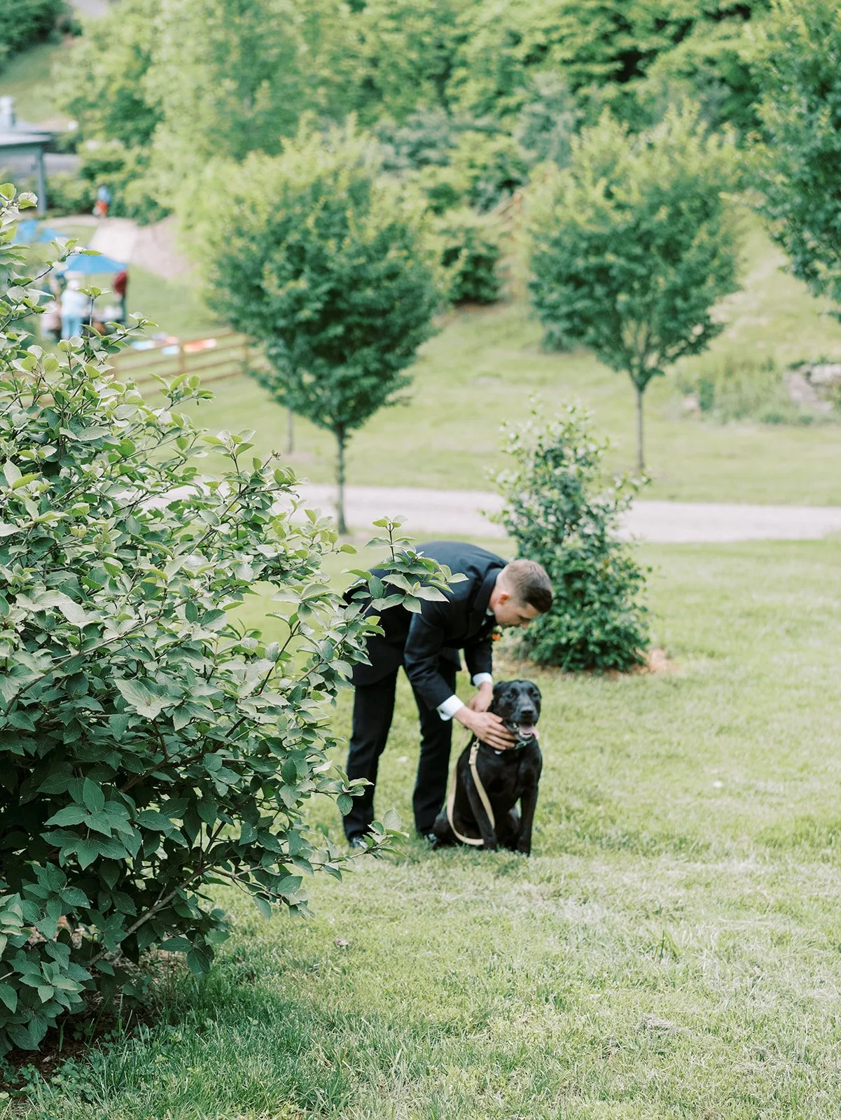 Virginia Wedding Photographer Natalie Jayne Photography-09591.jpg