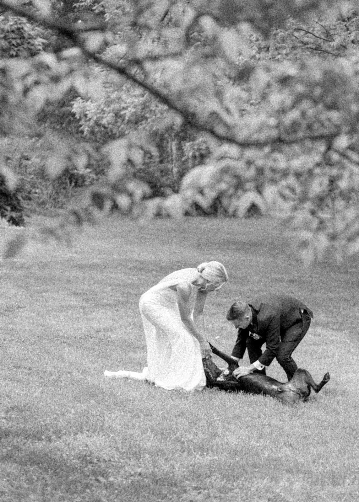 Virginia Wedding Photographer Natalie Jayne Photography-9207.jpg