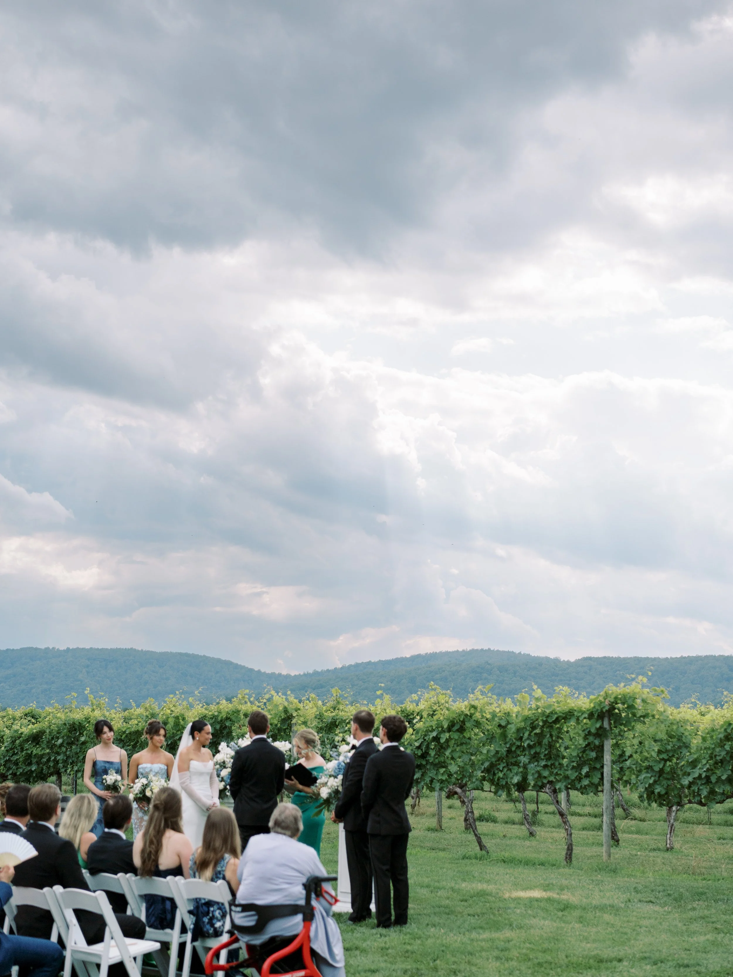 Keswick Vineyards Virginia Fine Art Wedding Photographer Natalie Jayne Photography-DSC03546.jpg