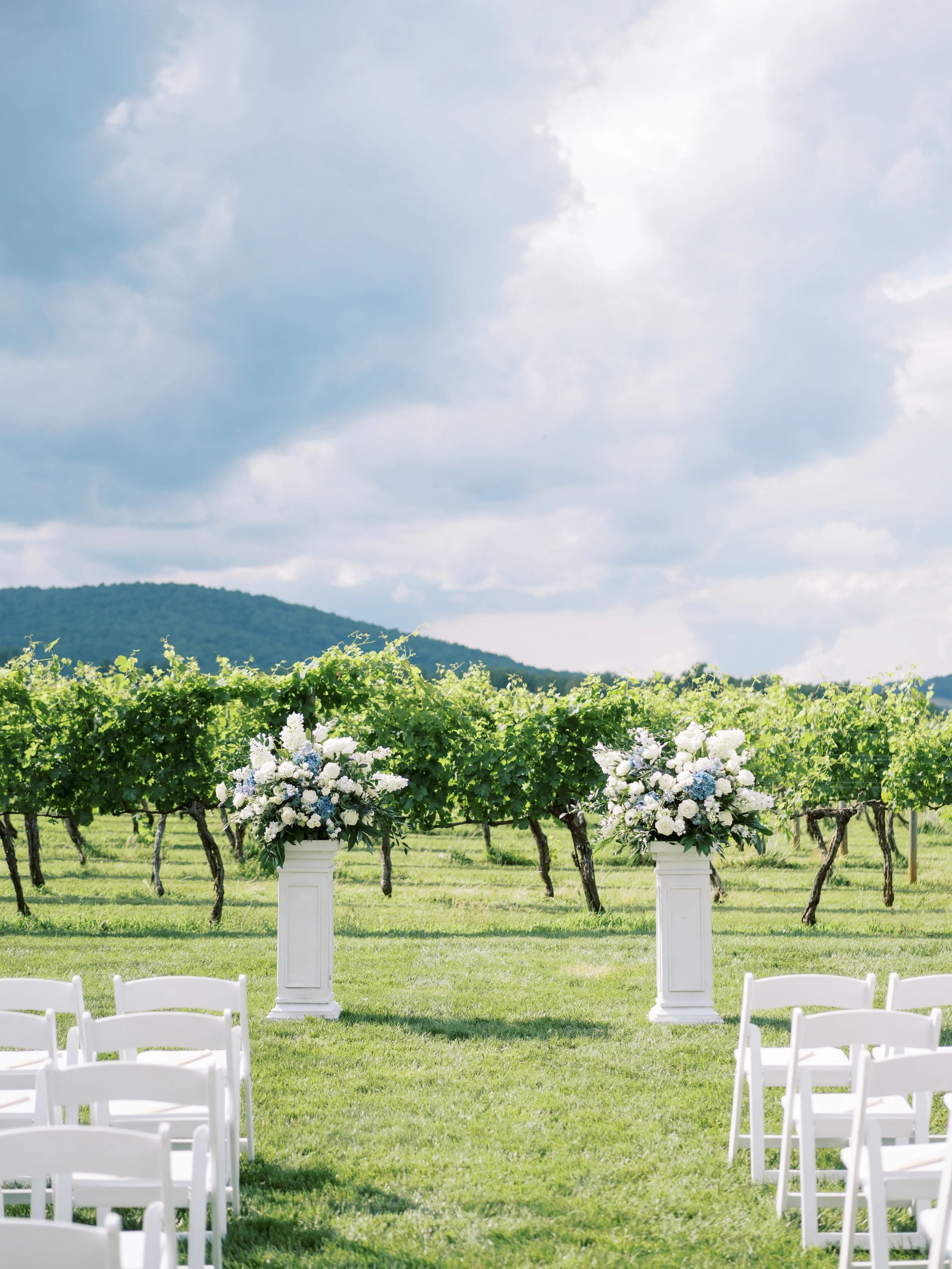 Keswick Vineyards Virginia Fine Art Wedding Photographer Natalie Jayne Photography-DSC03271.jpg