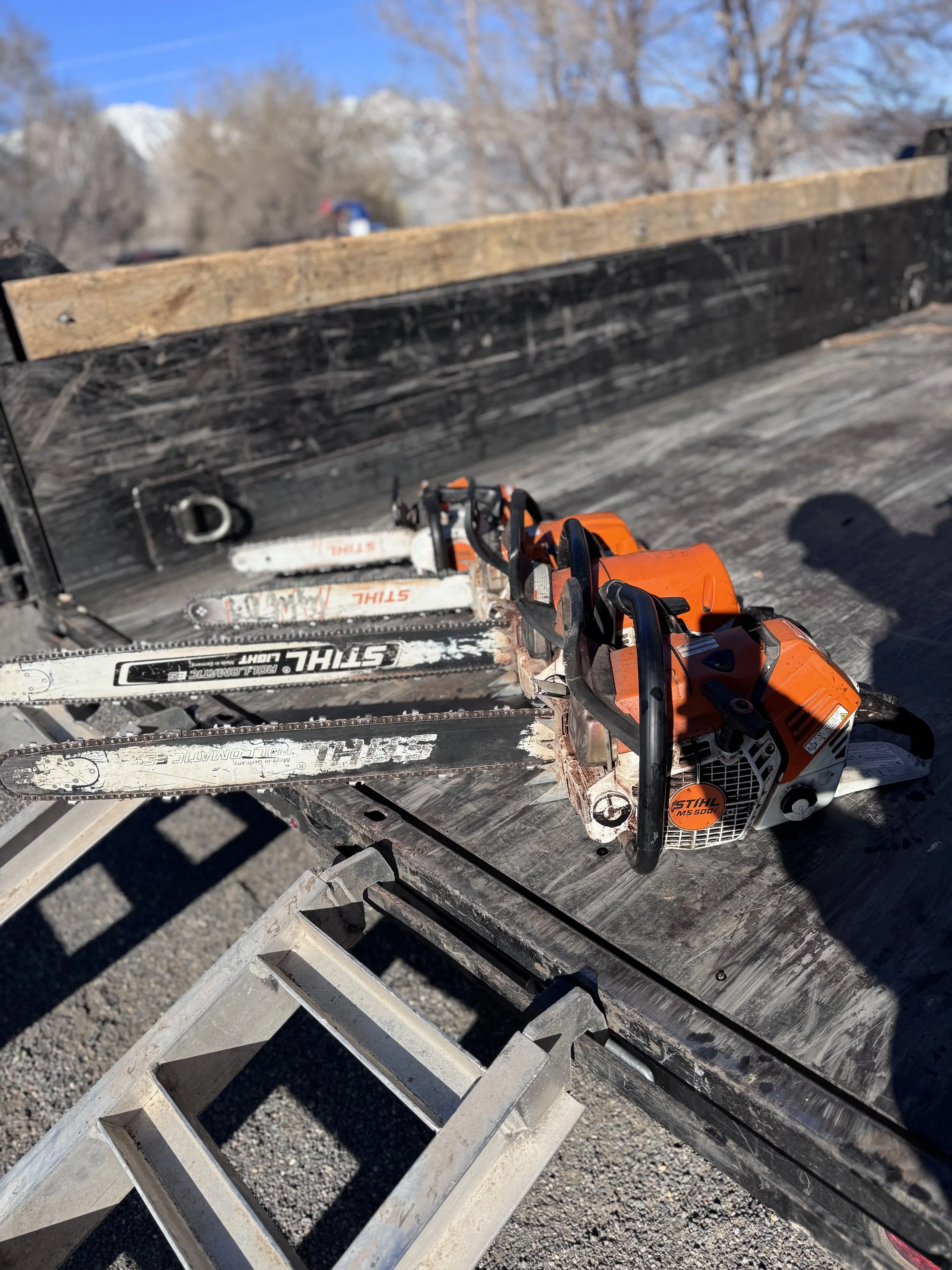 Close-up of a chainsaw resting on a metal ladder, with a wooden platform and blurred background of trees and sky.