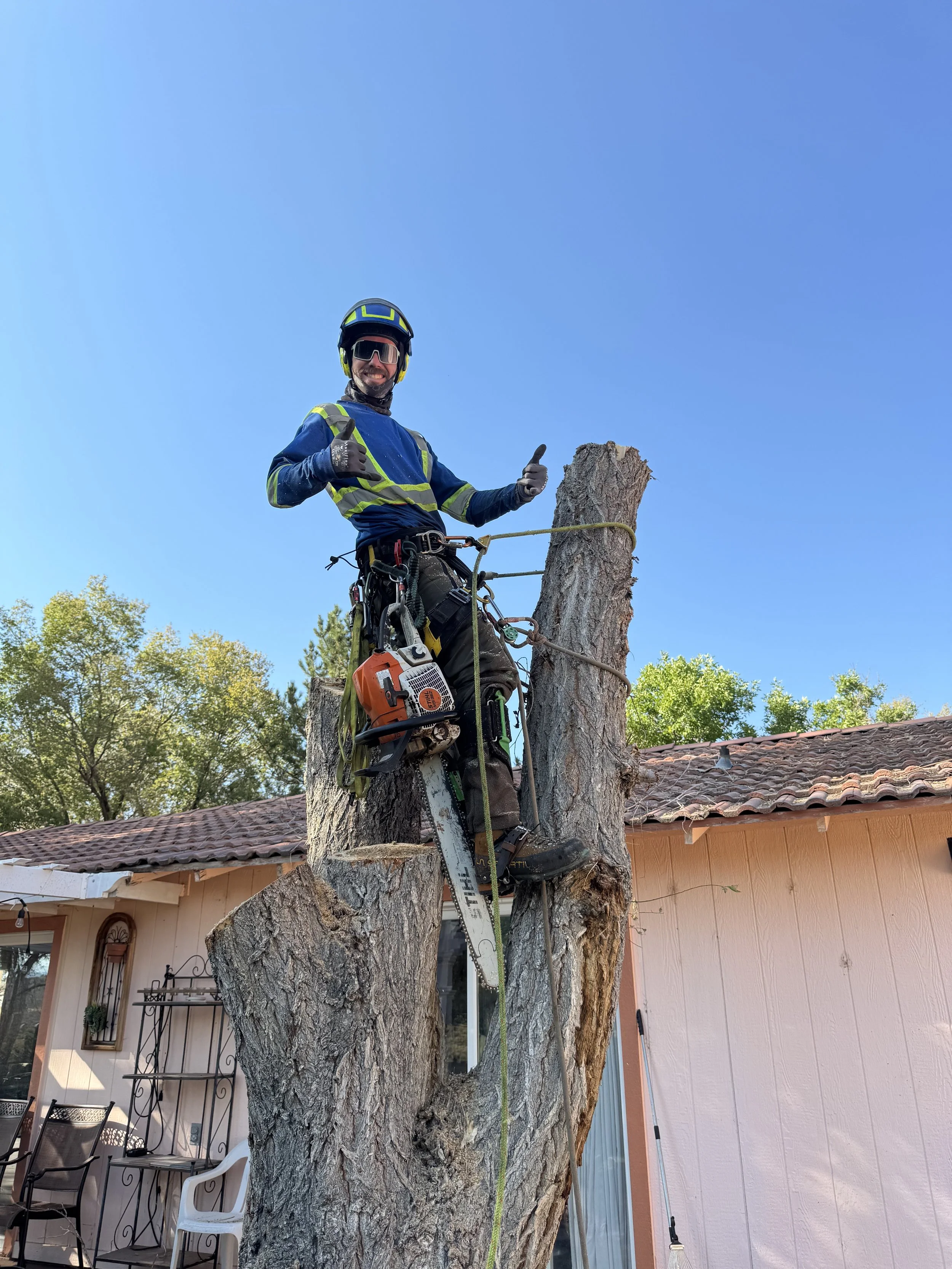 A man in safety gear standing in a tree trunk, giving a thumbs up and smiling.